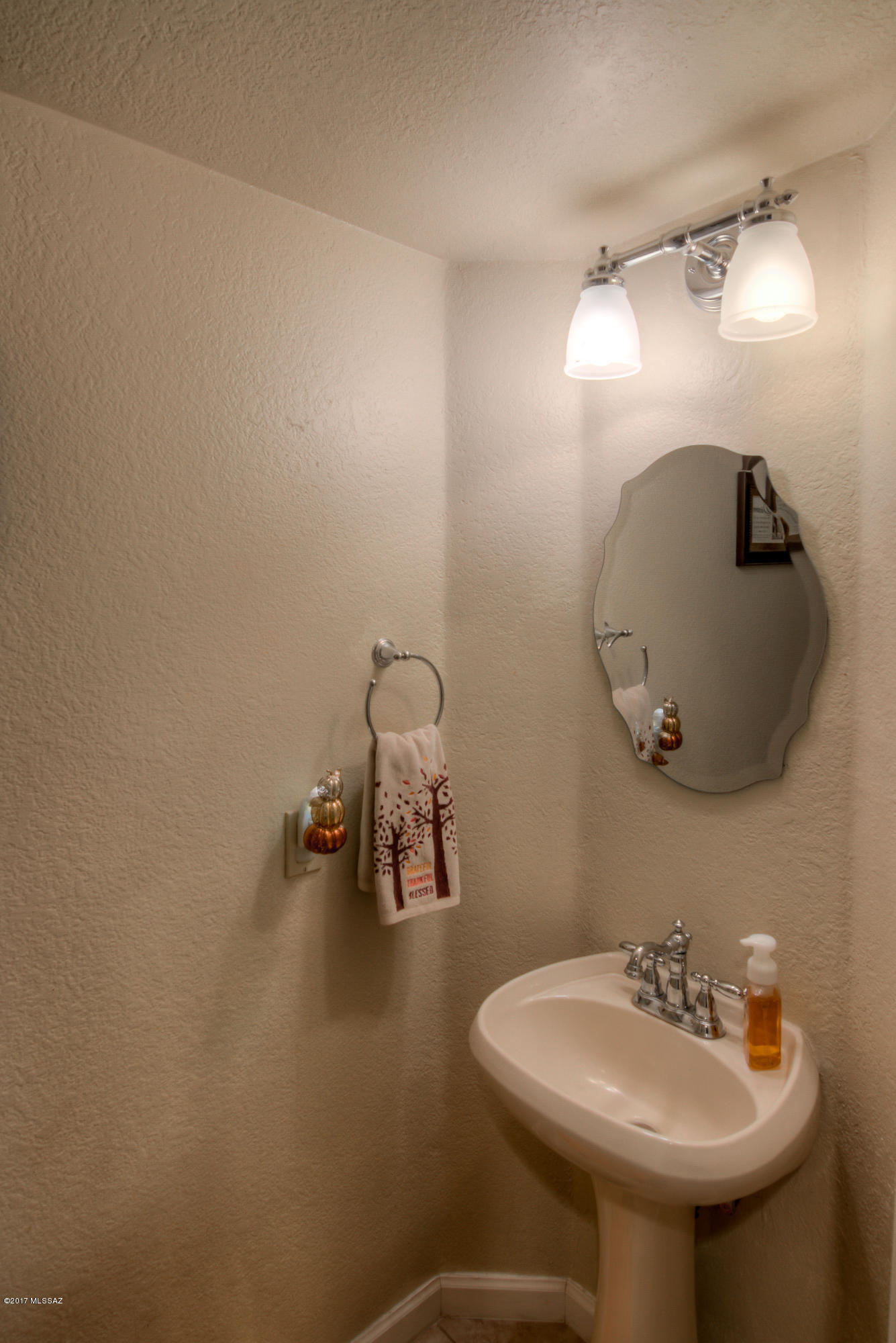 11796 N Dragoon Springs Drive