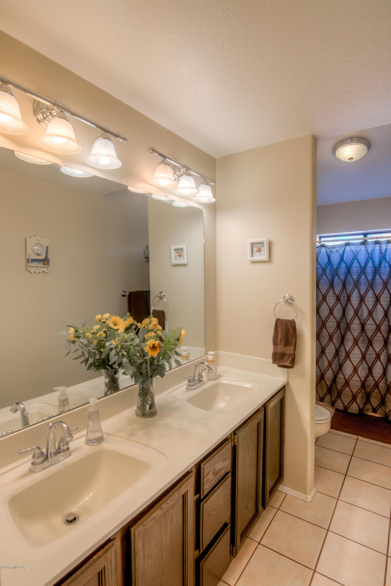 11796 N Dragoon Springs Drive