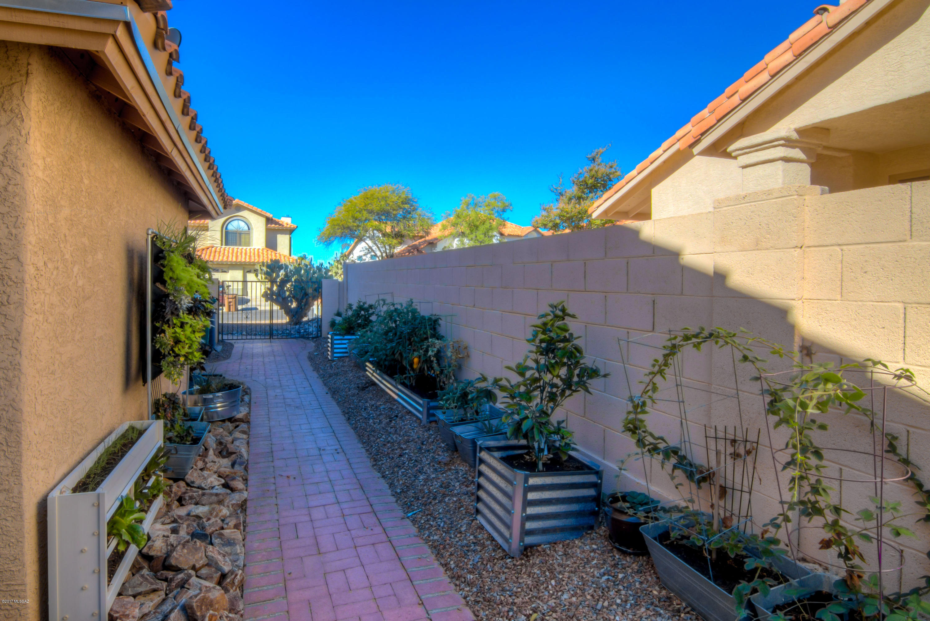 11796 N Dragoon Springs Drive