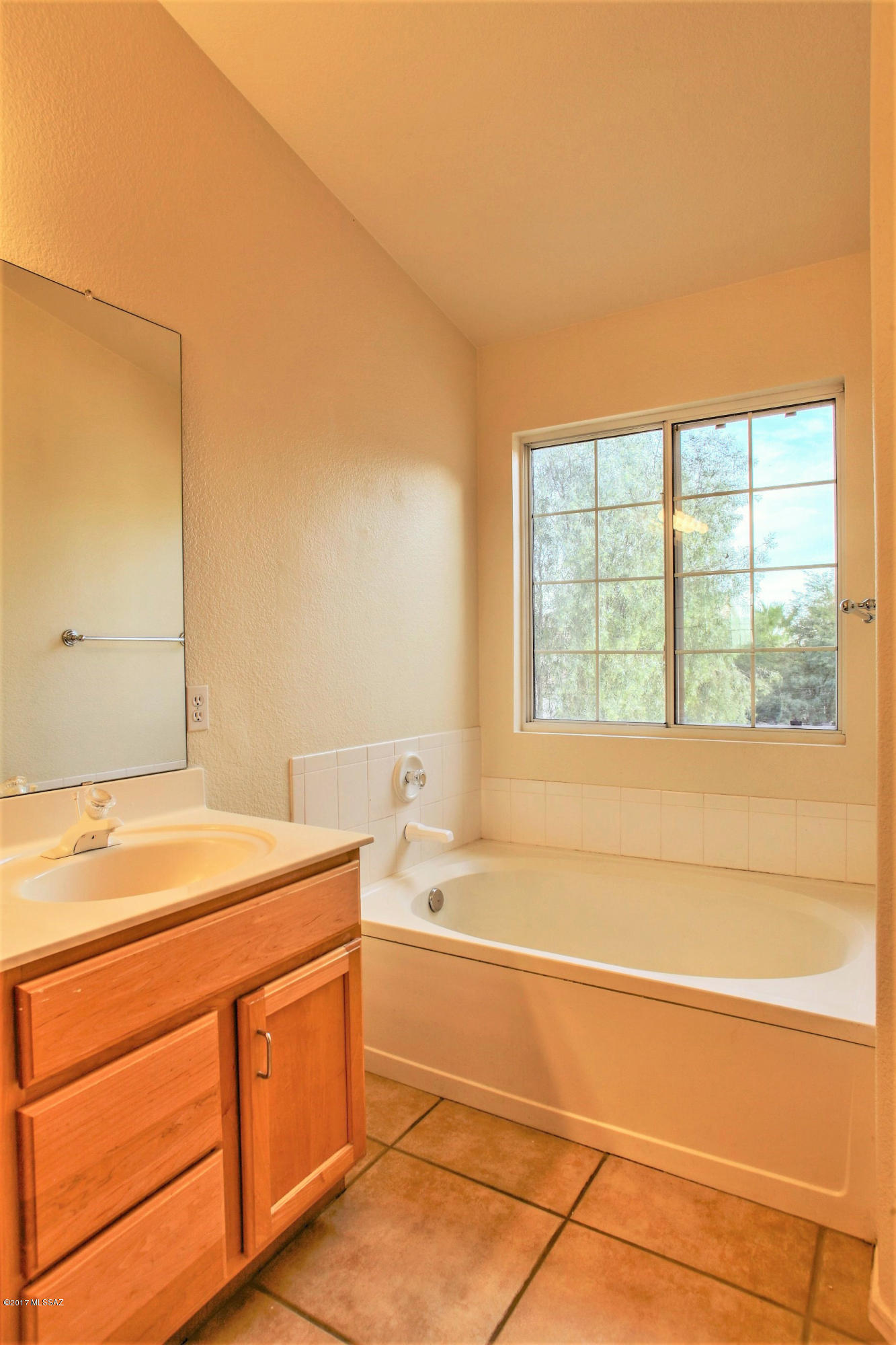 2572 W Saguaro Bluffs Drive