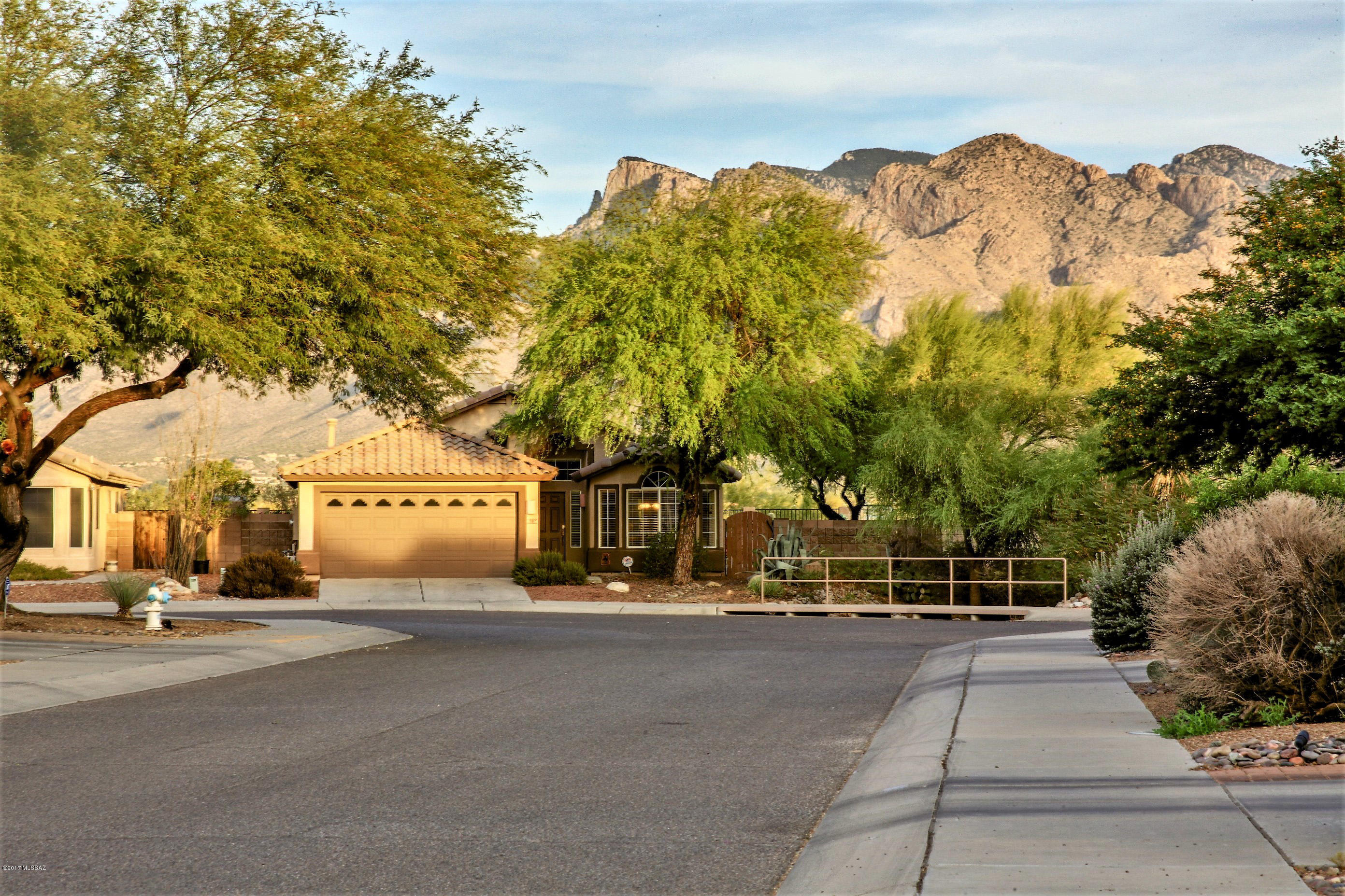 2572 W Saguaro Bluffs Drive