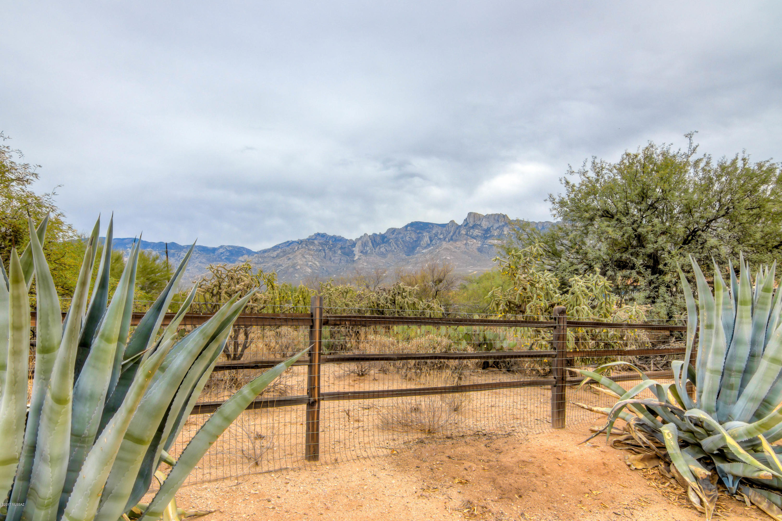 615 E Strada Patania