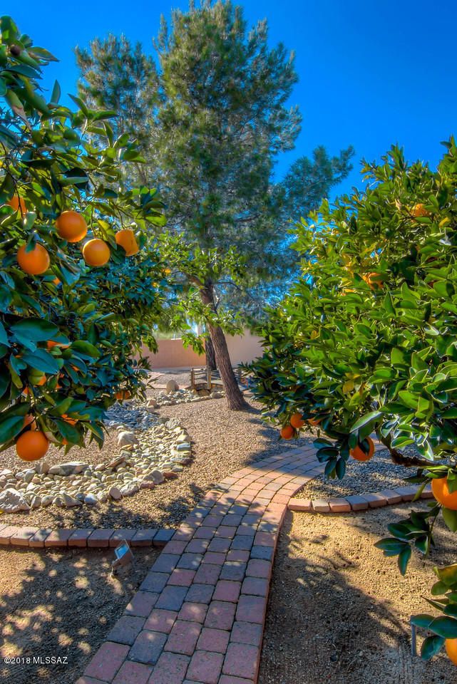 4807 W Red Wolf Drive