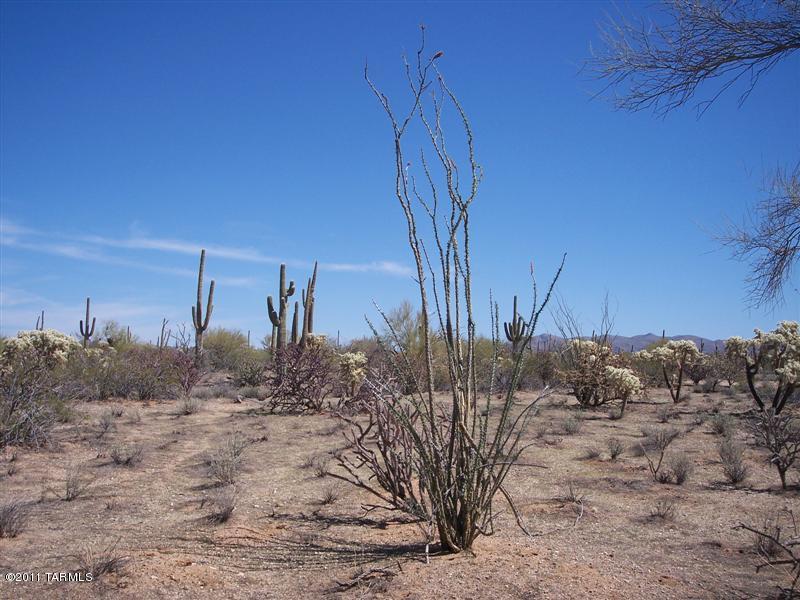 xx Davis Ranch Road Unit: 5AC