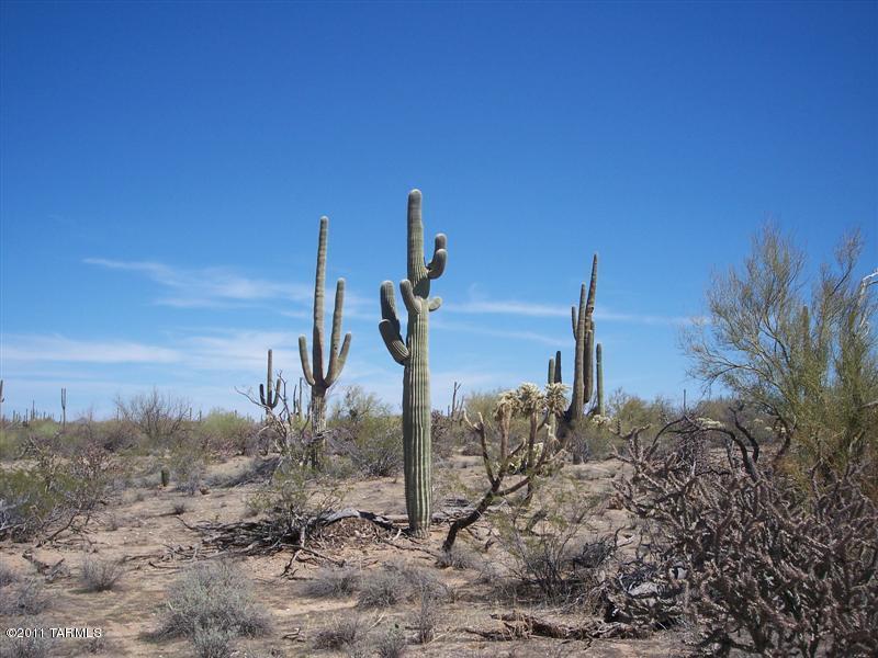 xx Davis Ranch Road Unit: 5AC