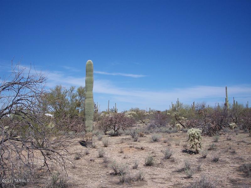 xx Davis Ranch Road Unit: 5AC