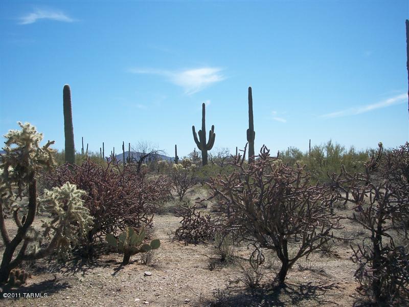 xx Davis Ranch Road Unit: 5AC