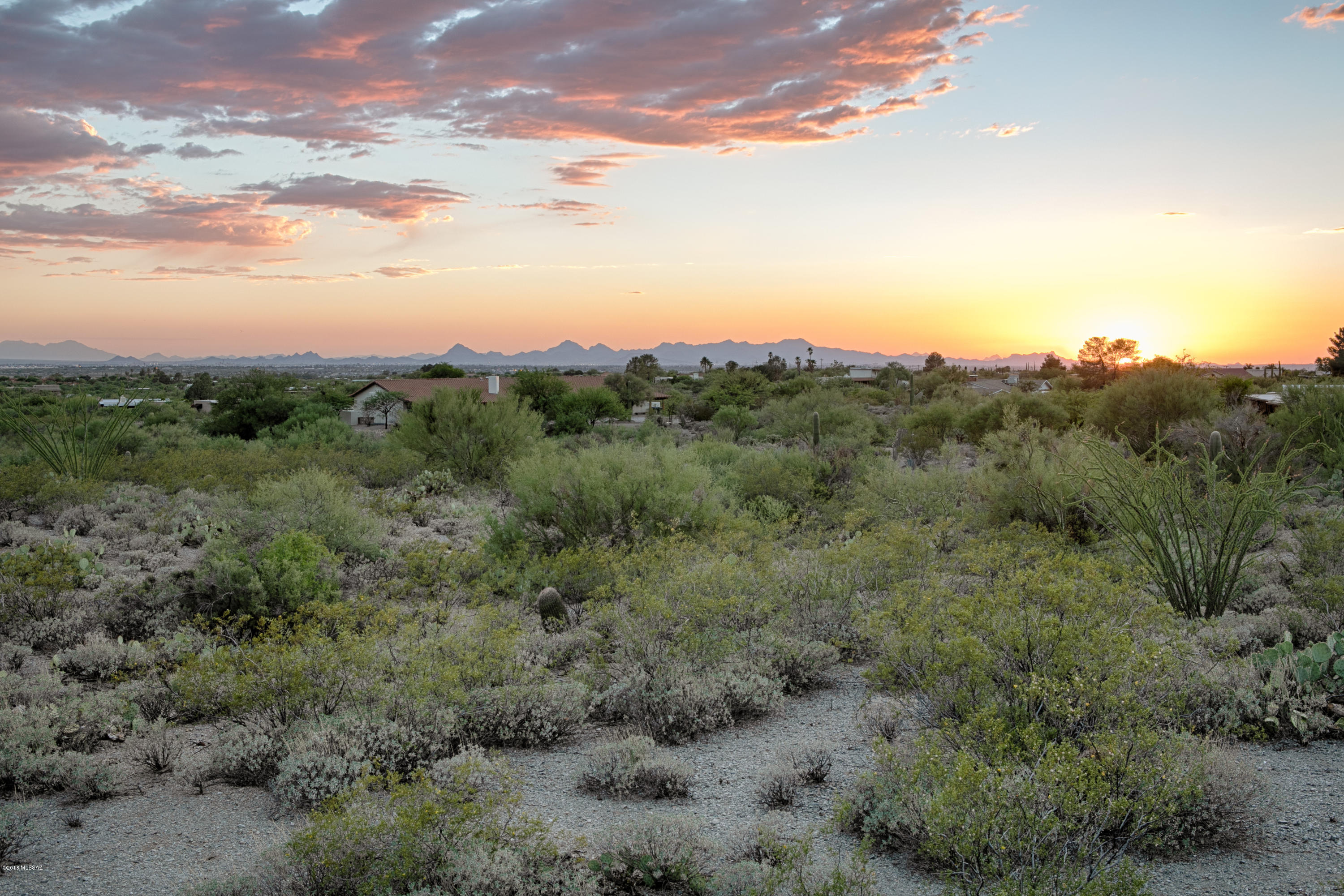 11800 E Pantano Trail