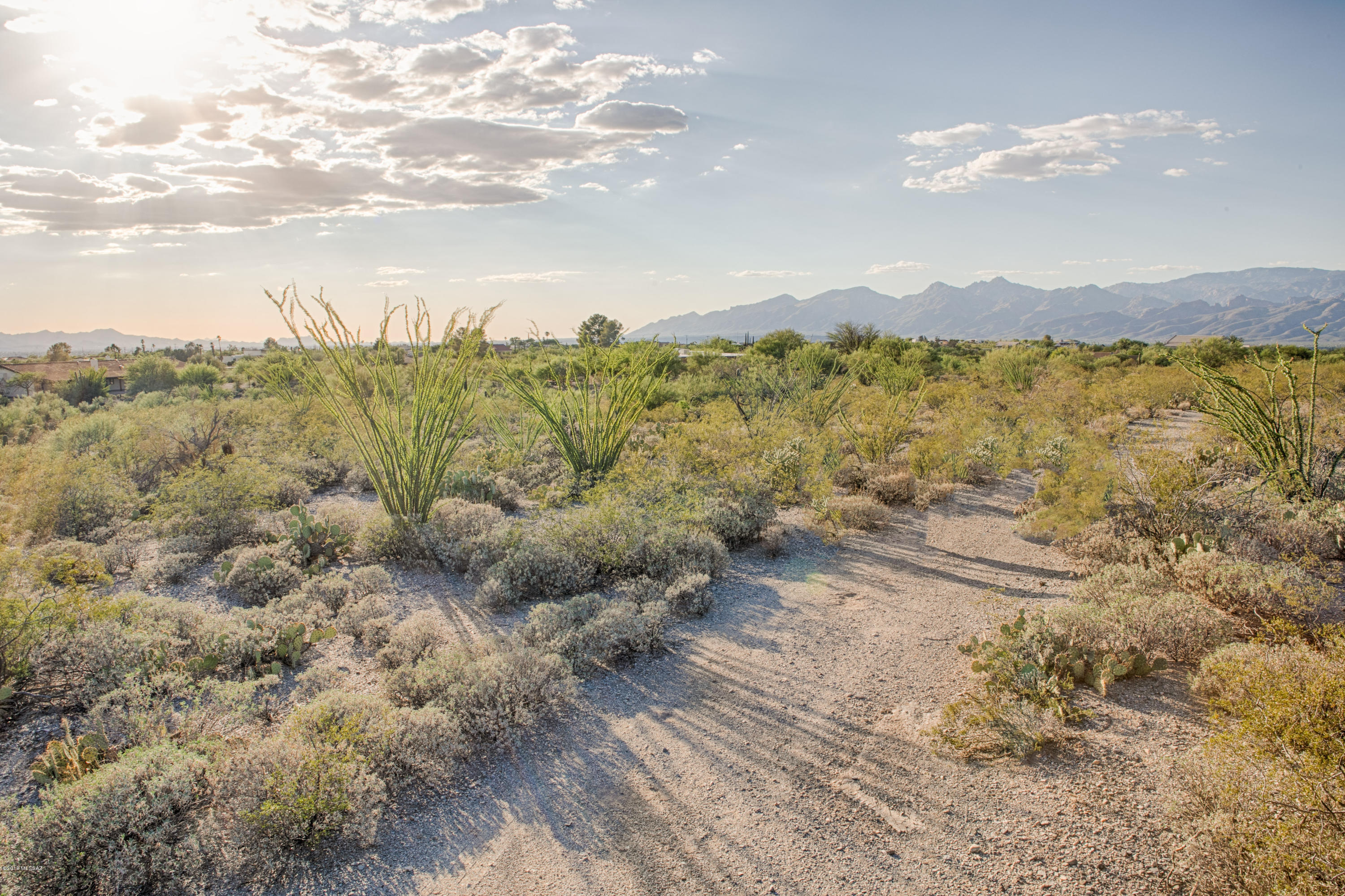 11800 E Pantano Trail