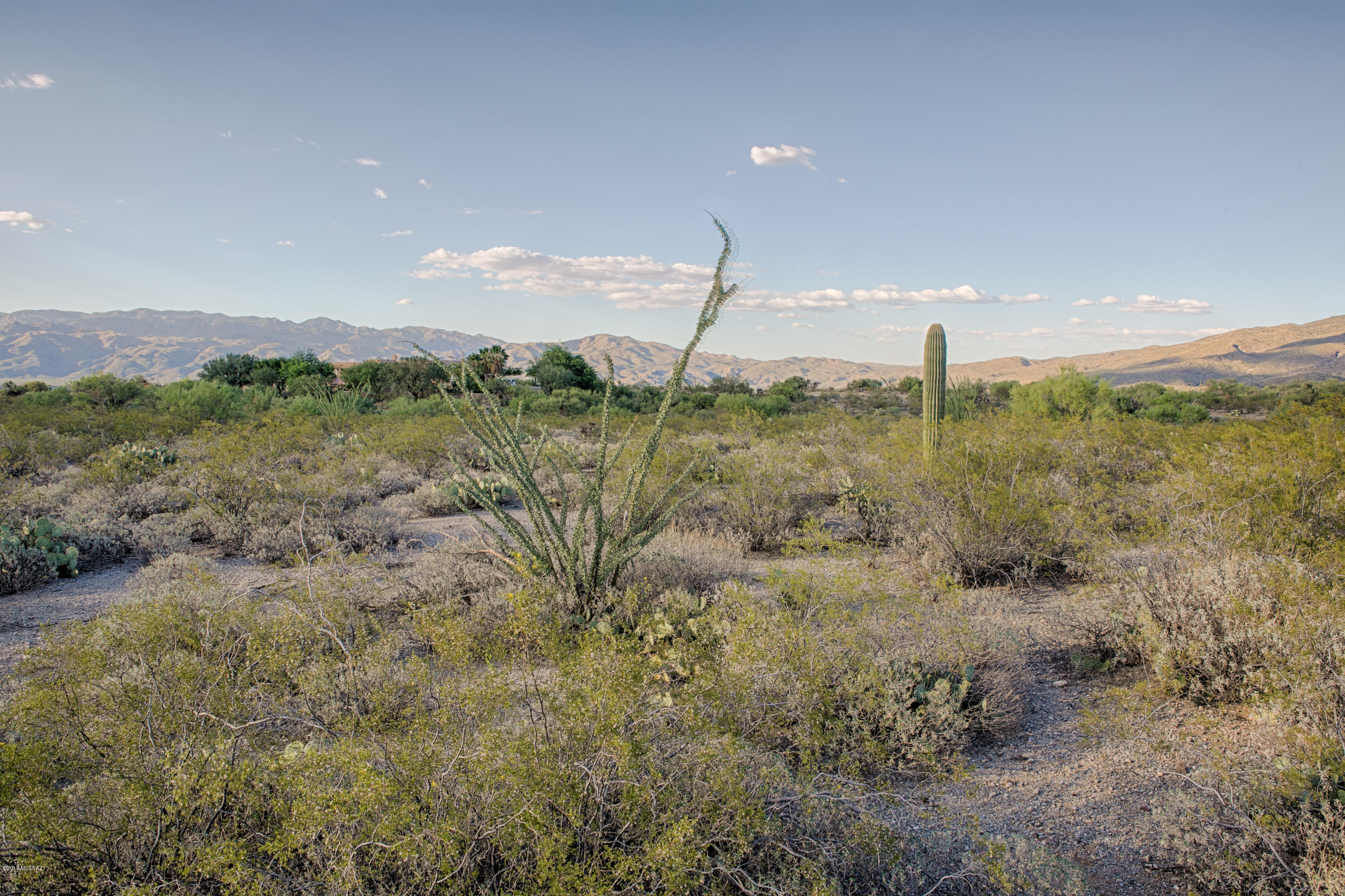 11800 E Pantano Trail