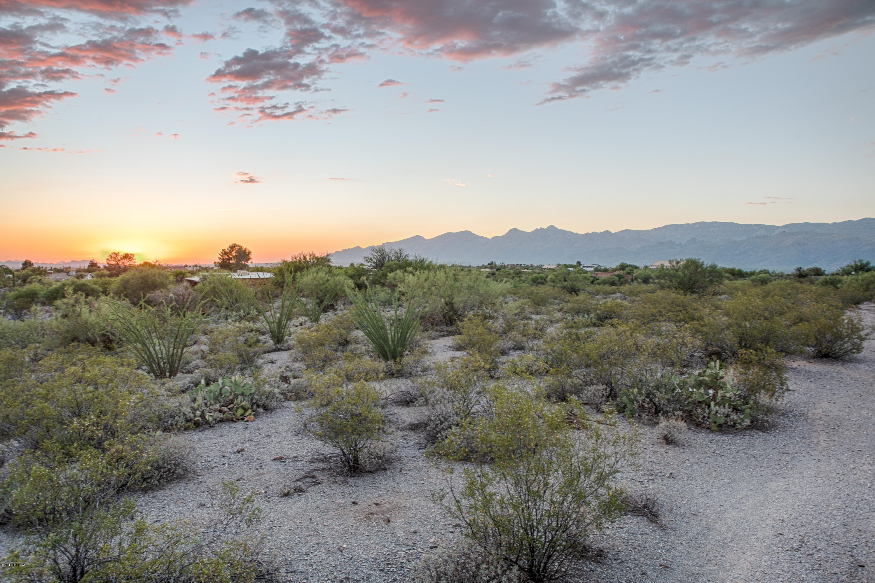 11800 E Pantano Trail