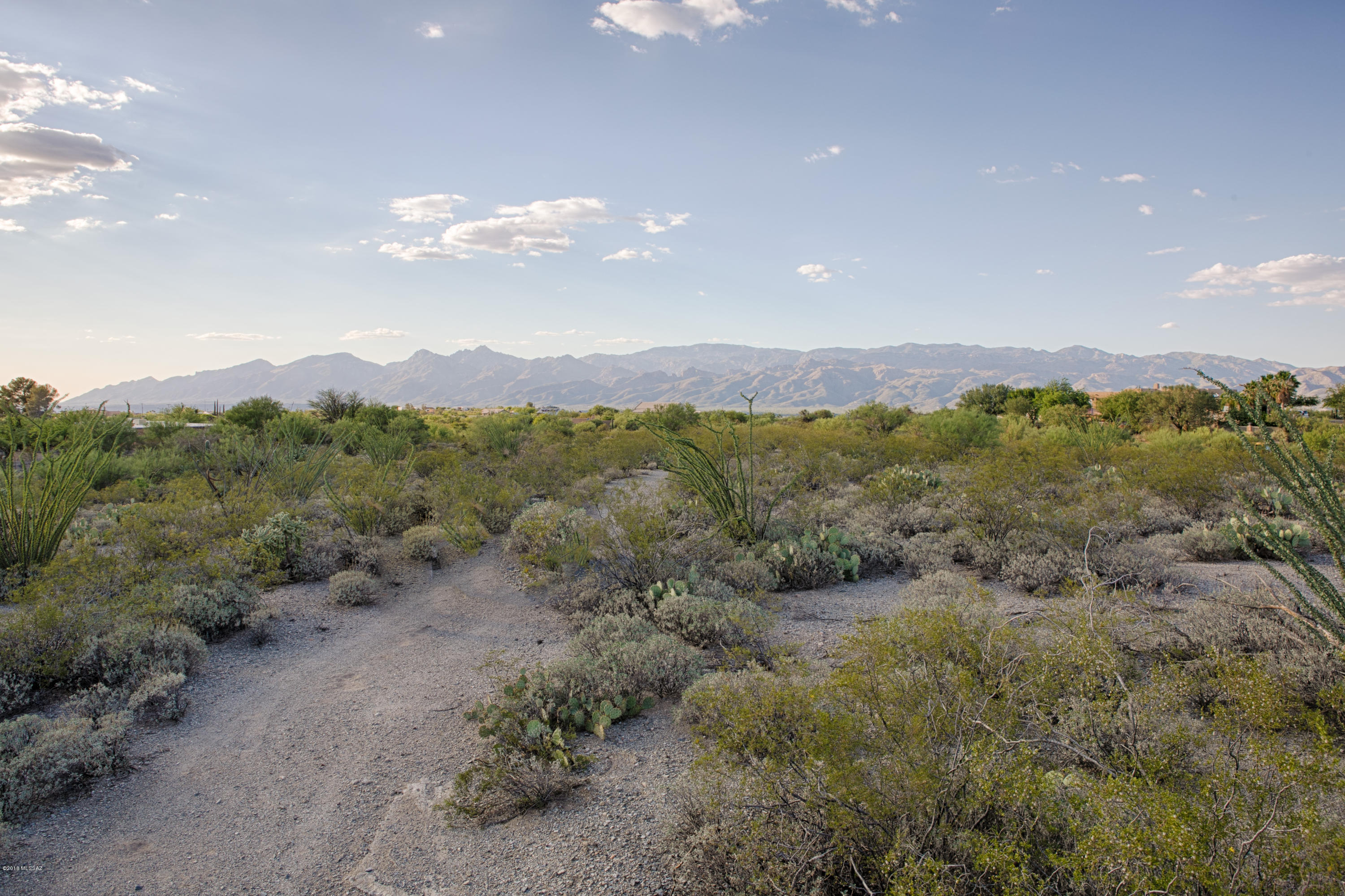 11800 E Pantano Trail