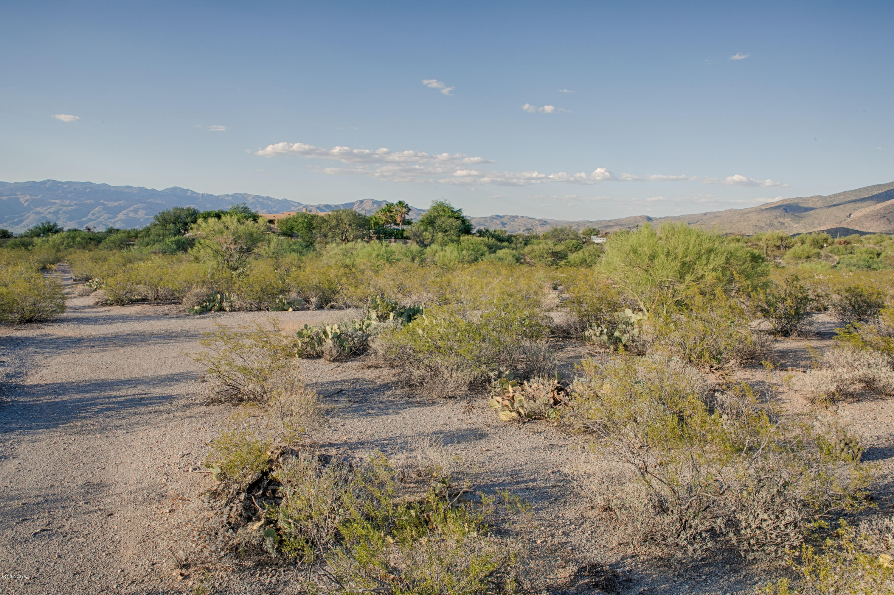 11800 E Pantano Trail