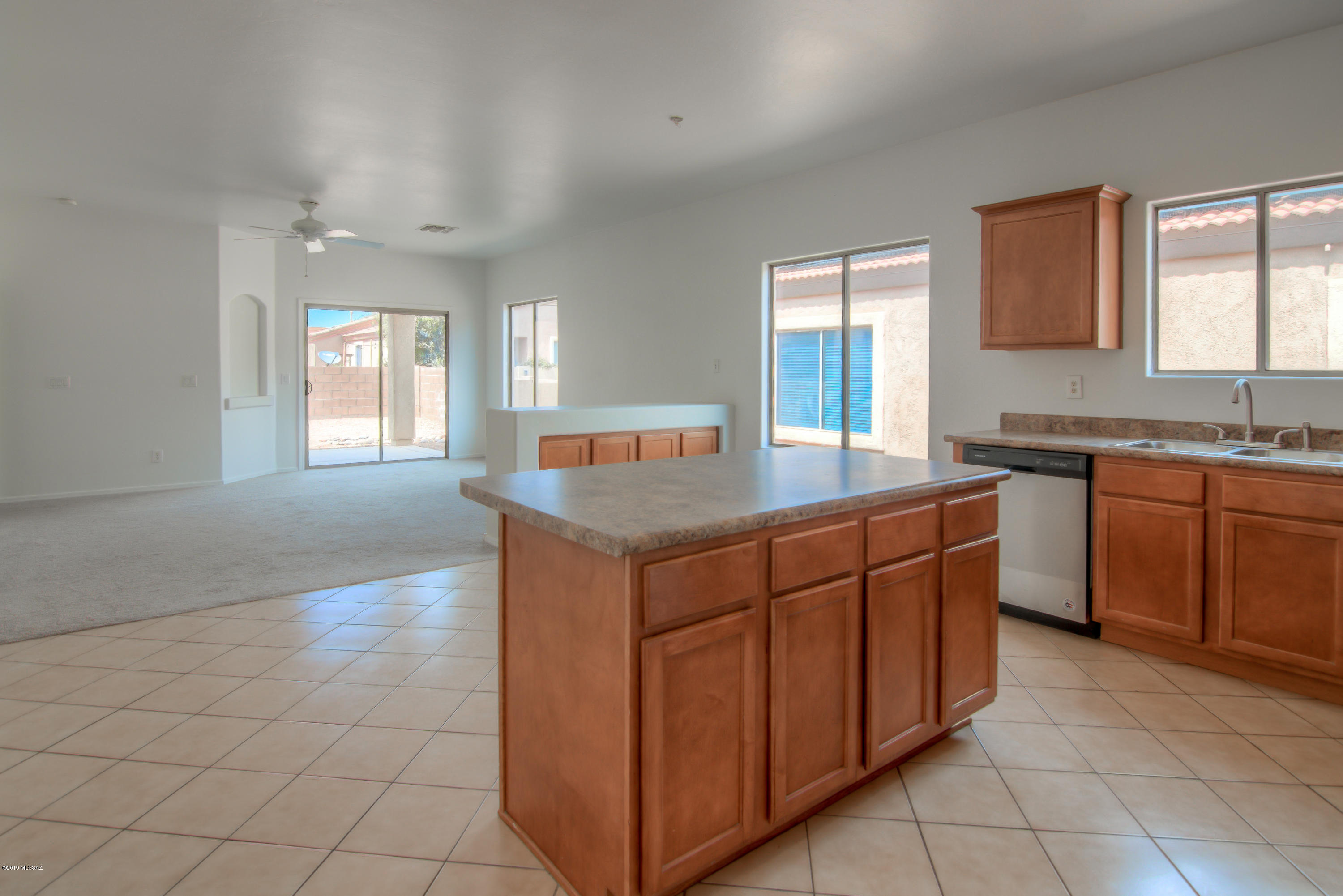 311 E Placita Nubes Blancas