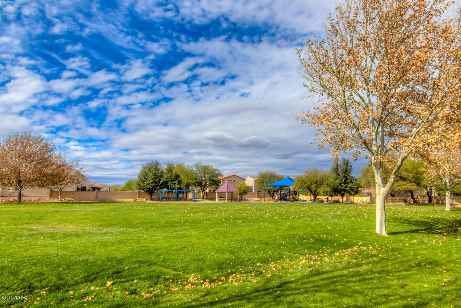 311 E Placita Nubes Blancas