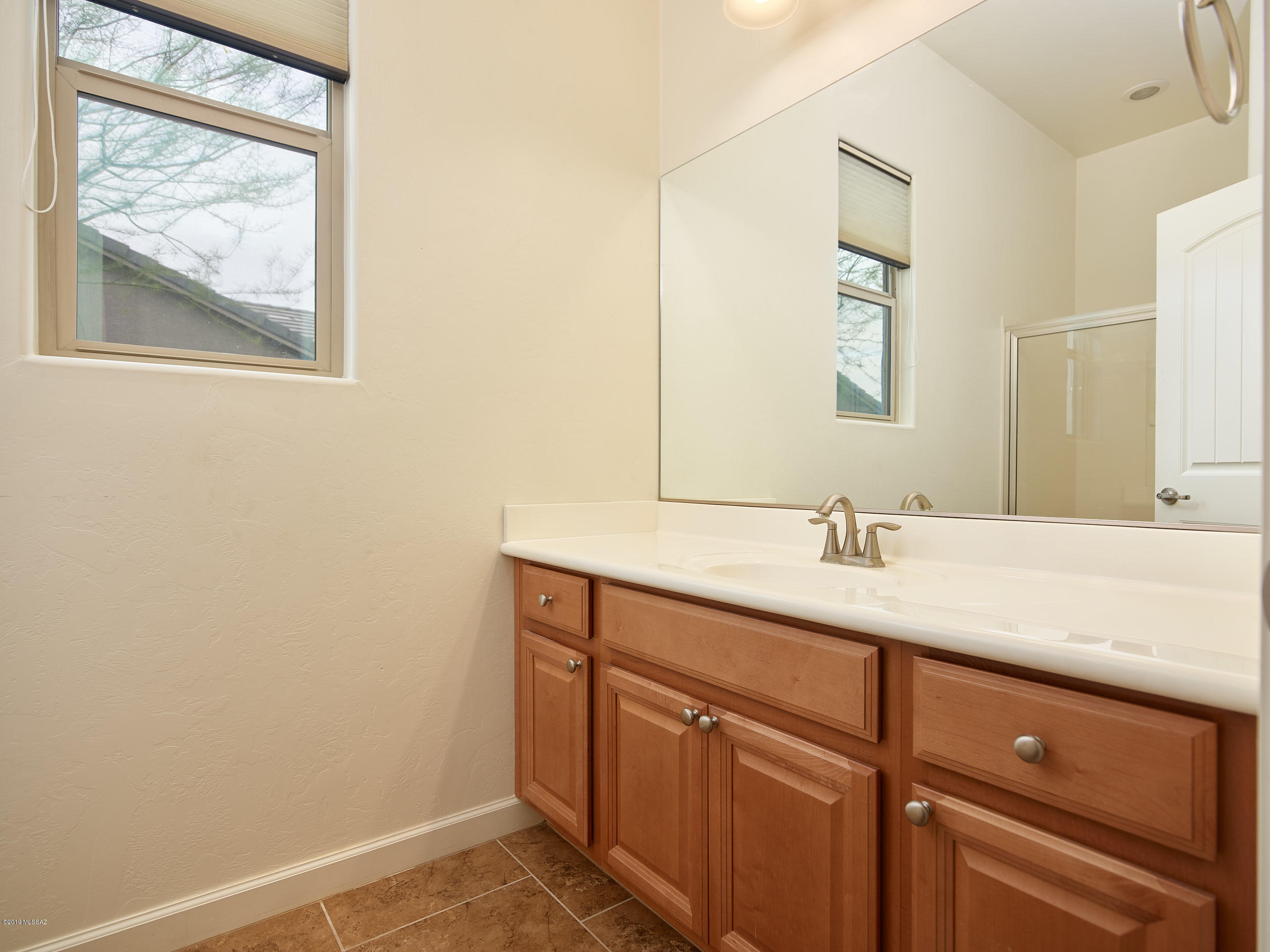 12636 N Sunrise Shadow Drive