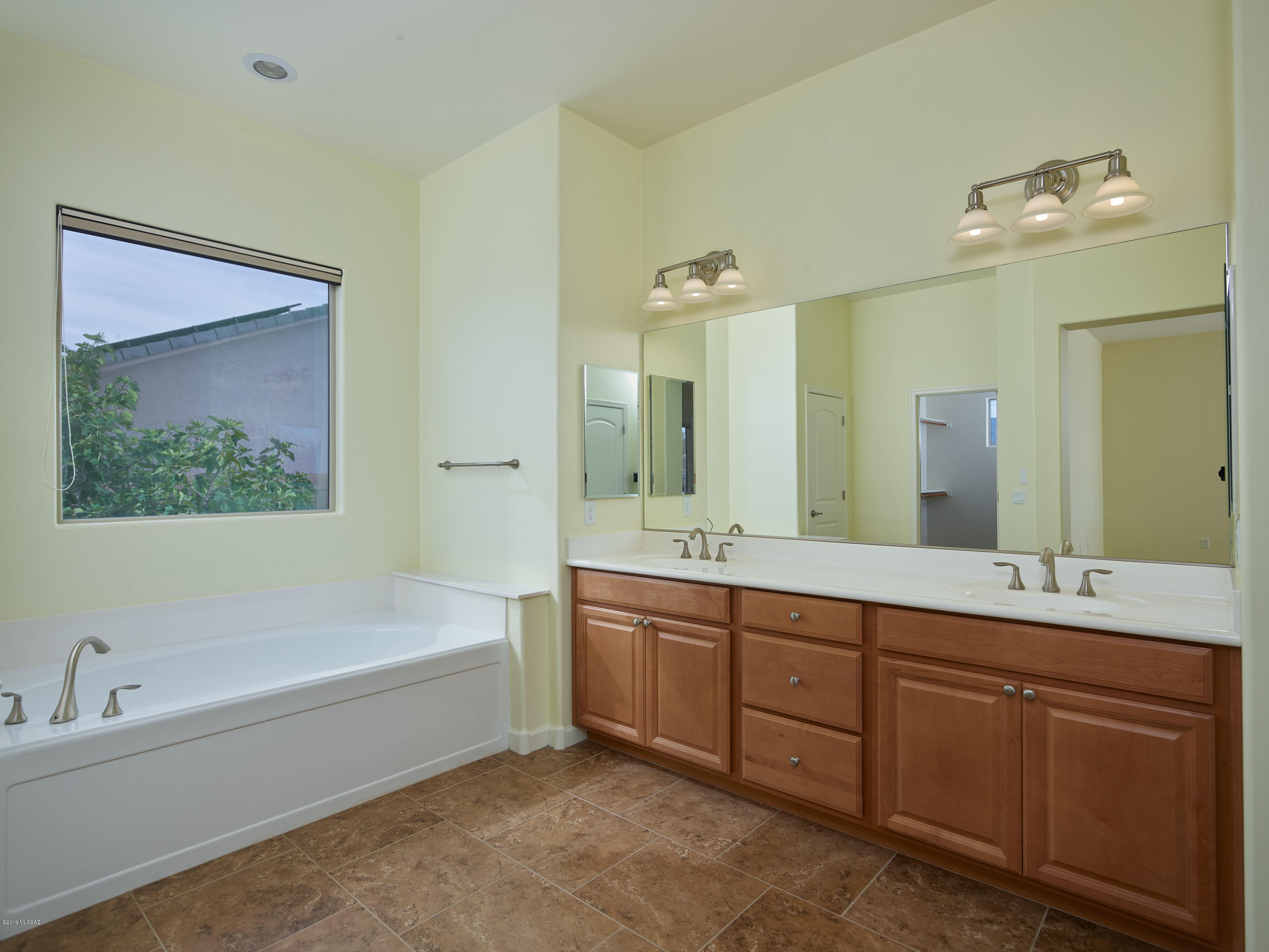 12636 N Sunrise Shadow Drive