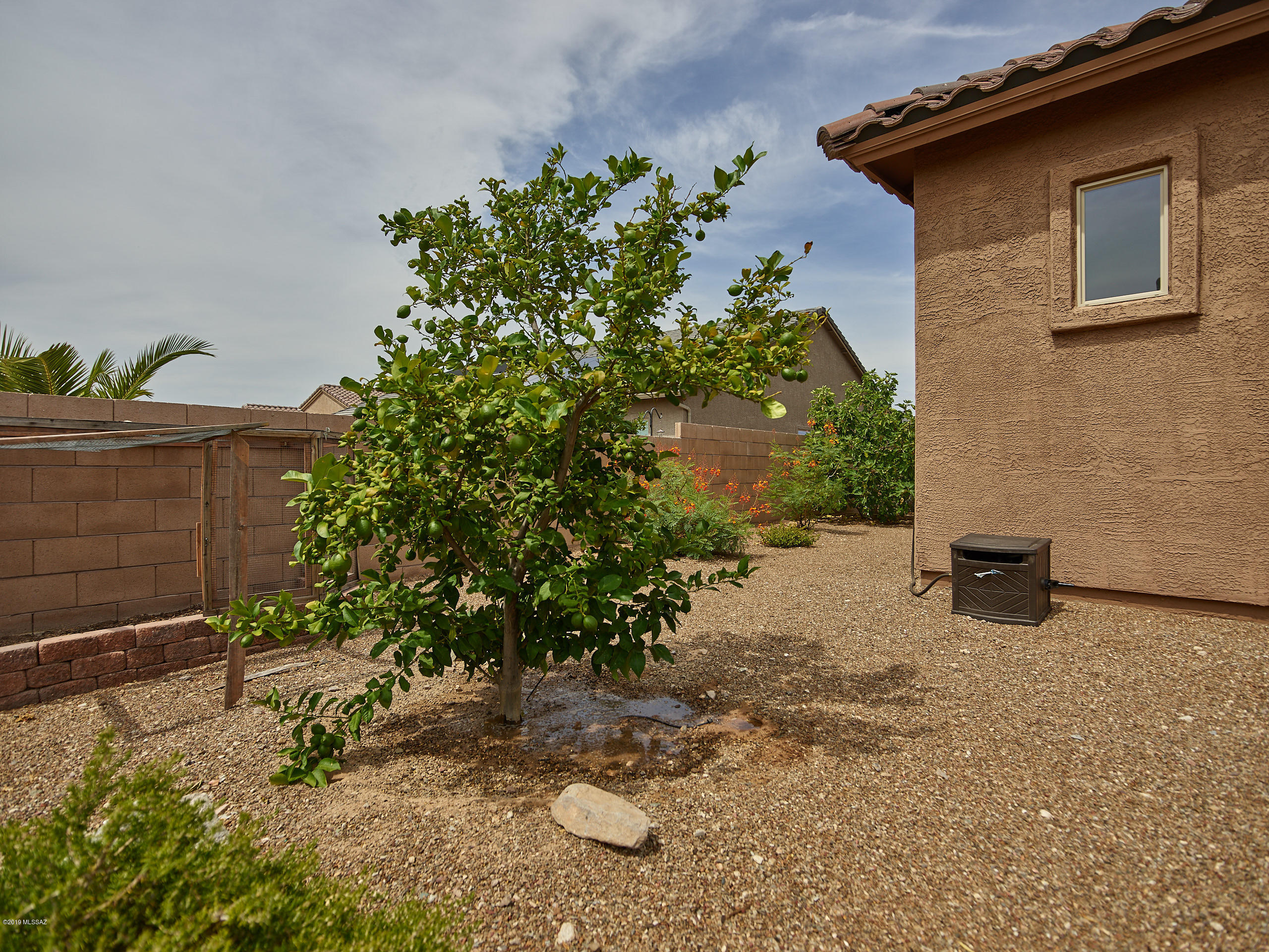 12636 N Sunrise Shadow Drive