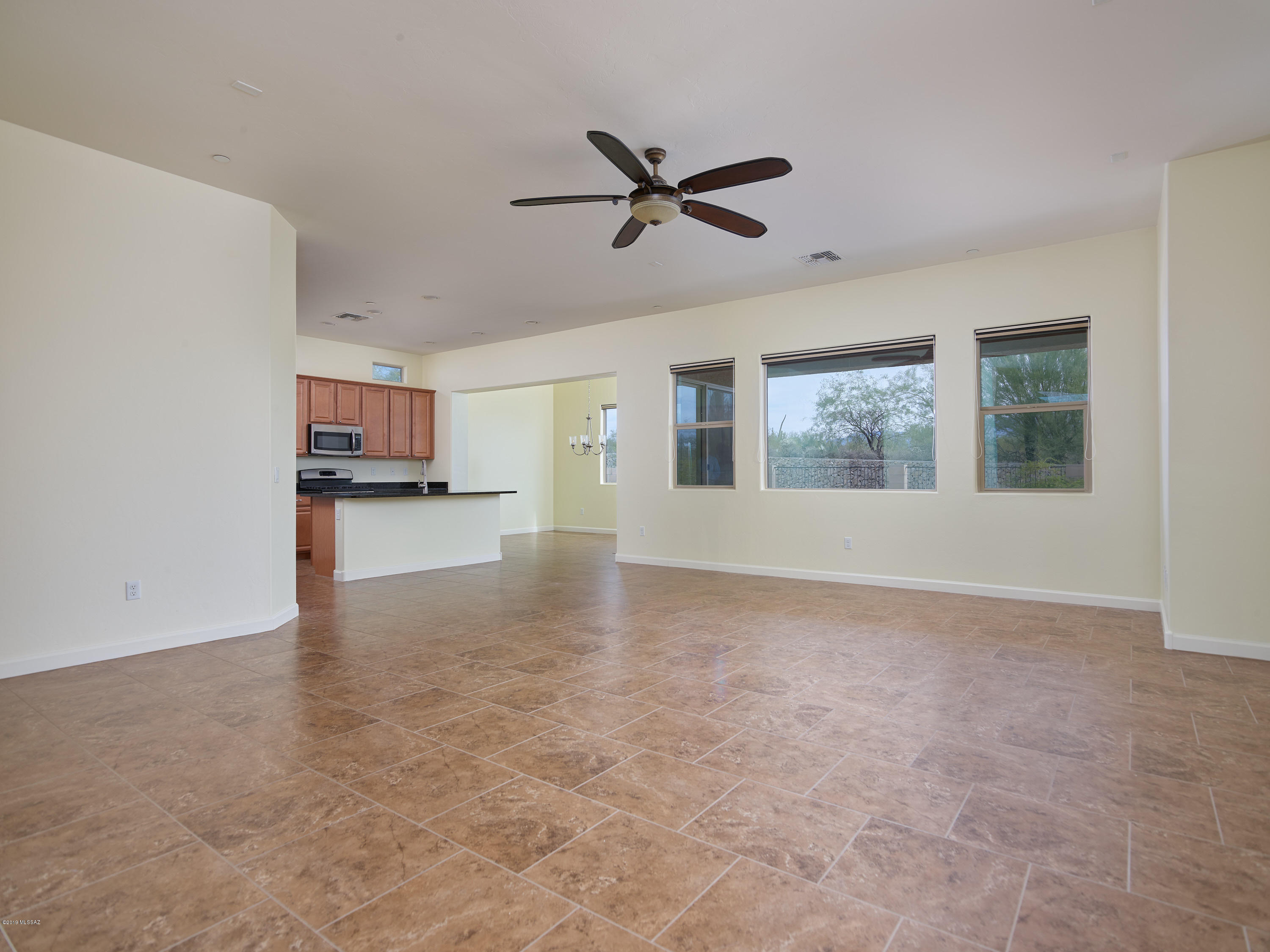 12636 N Sunrise Shadow Drive