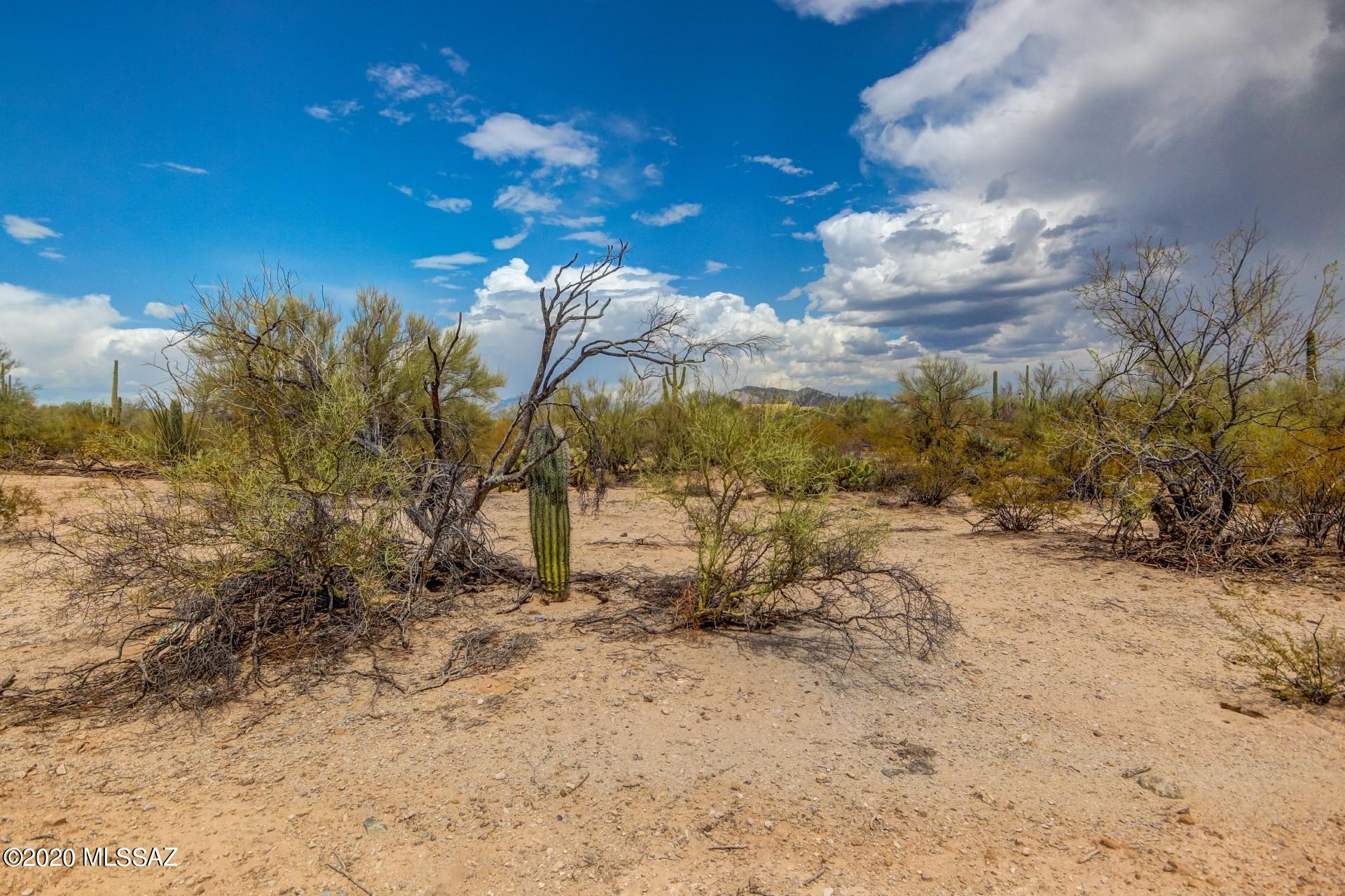 5263 W Spectacular Way