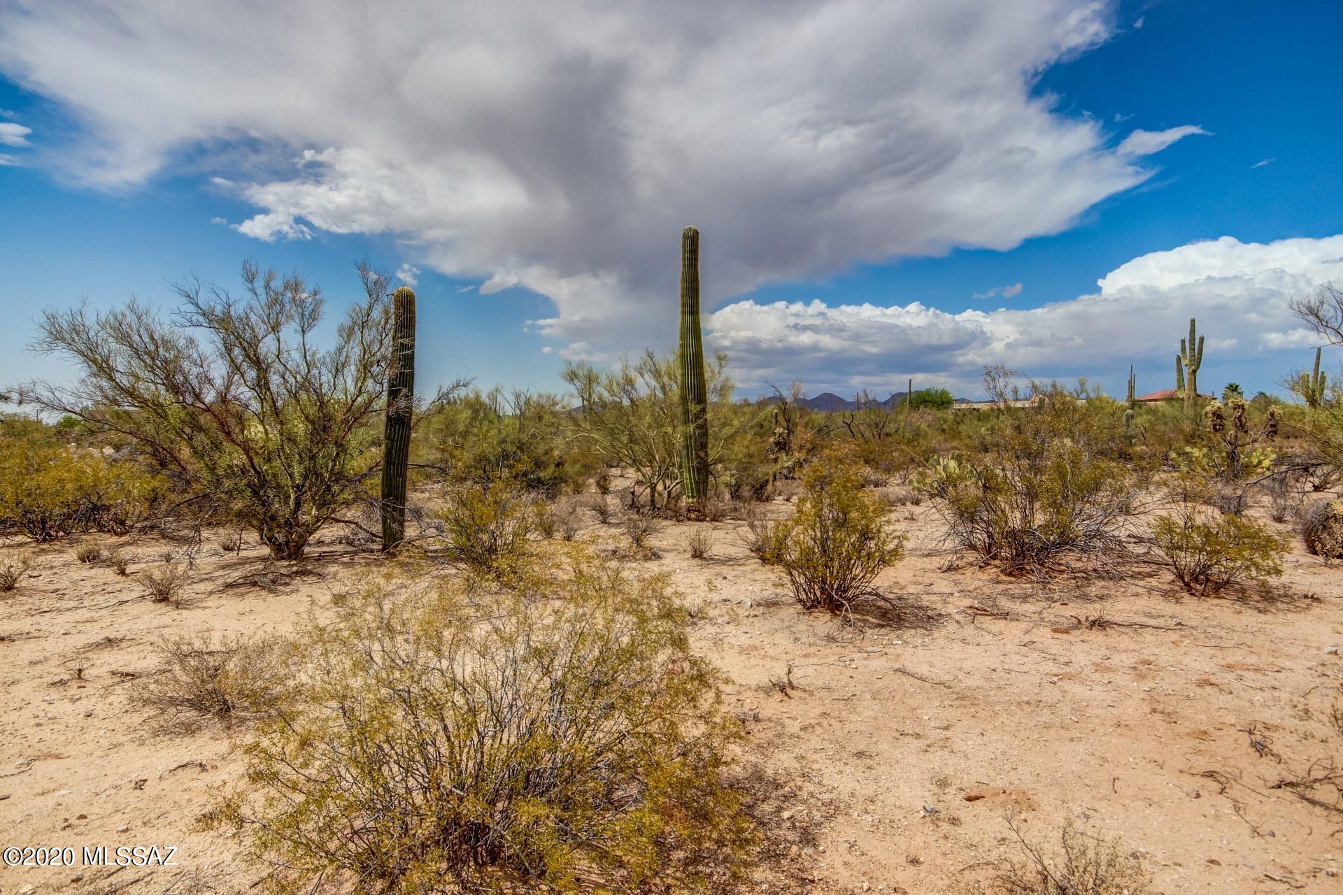 5263 W Spectacular Way