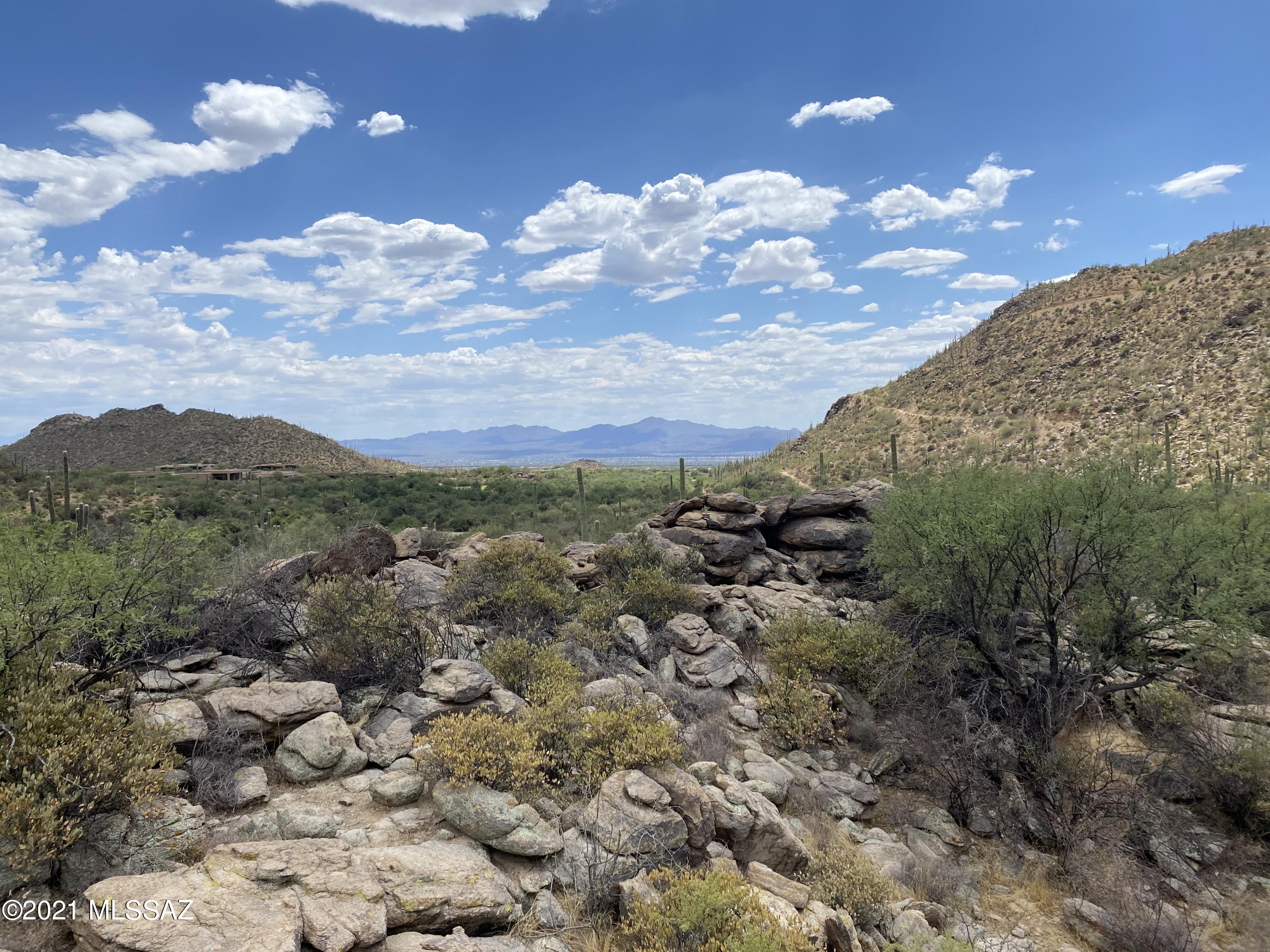 4738 W Canyon Mountain Drive Unit: 56