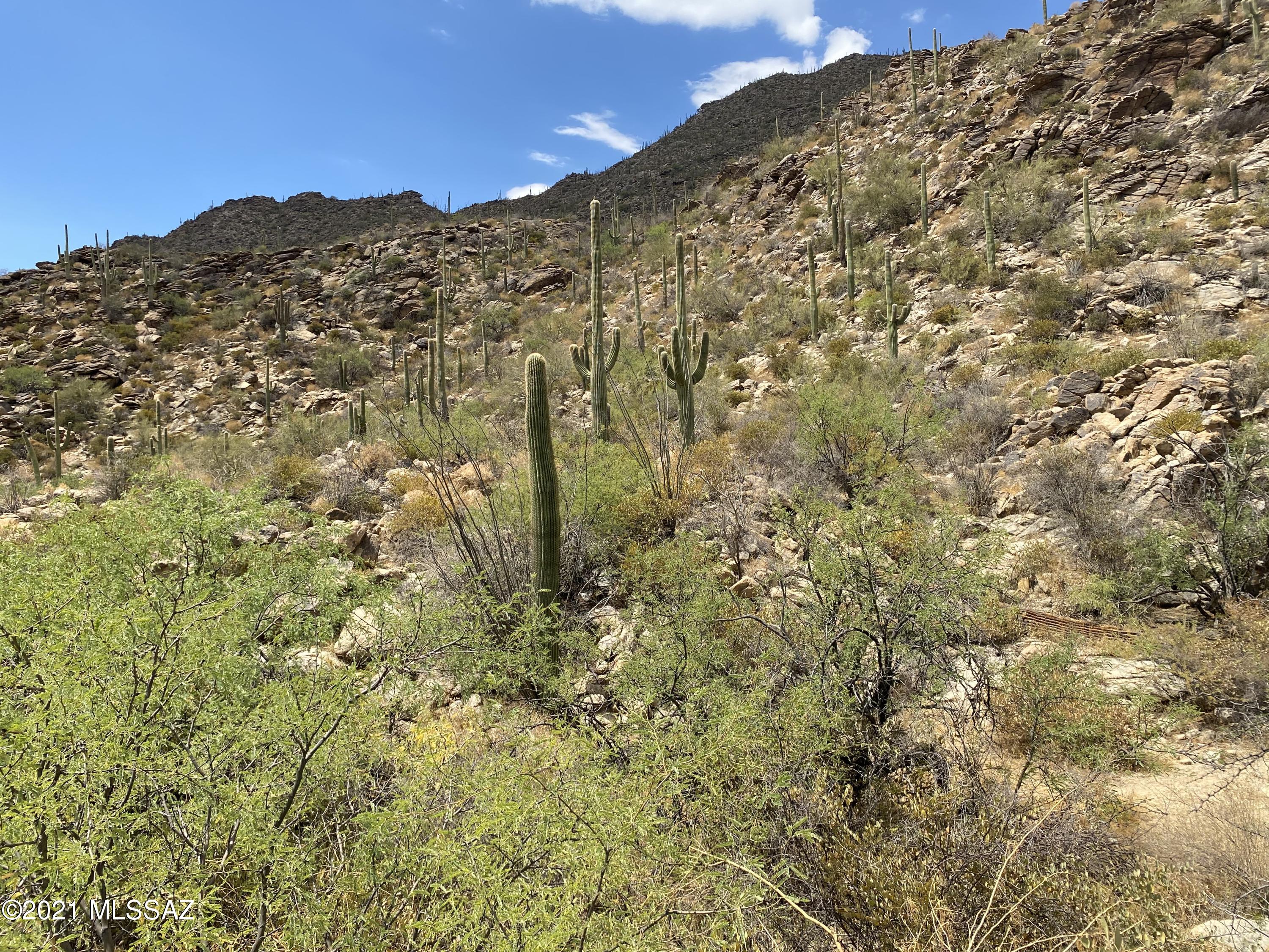 4738 W Canyon Mountain Drive Unit: 56