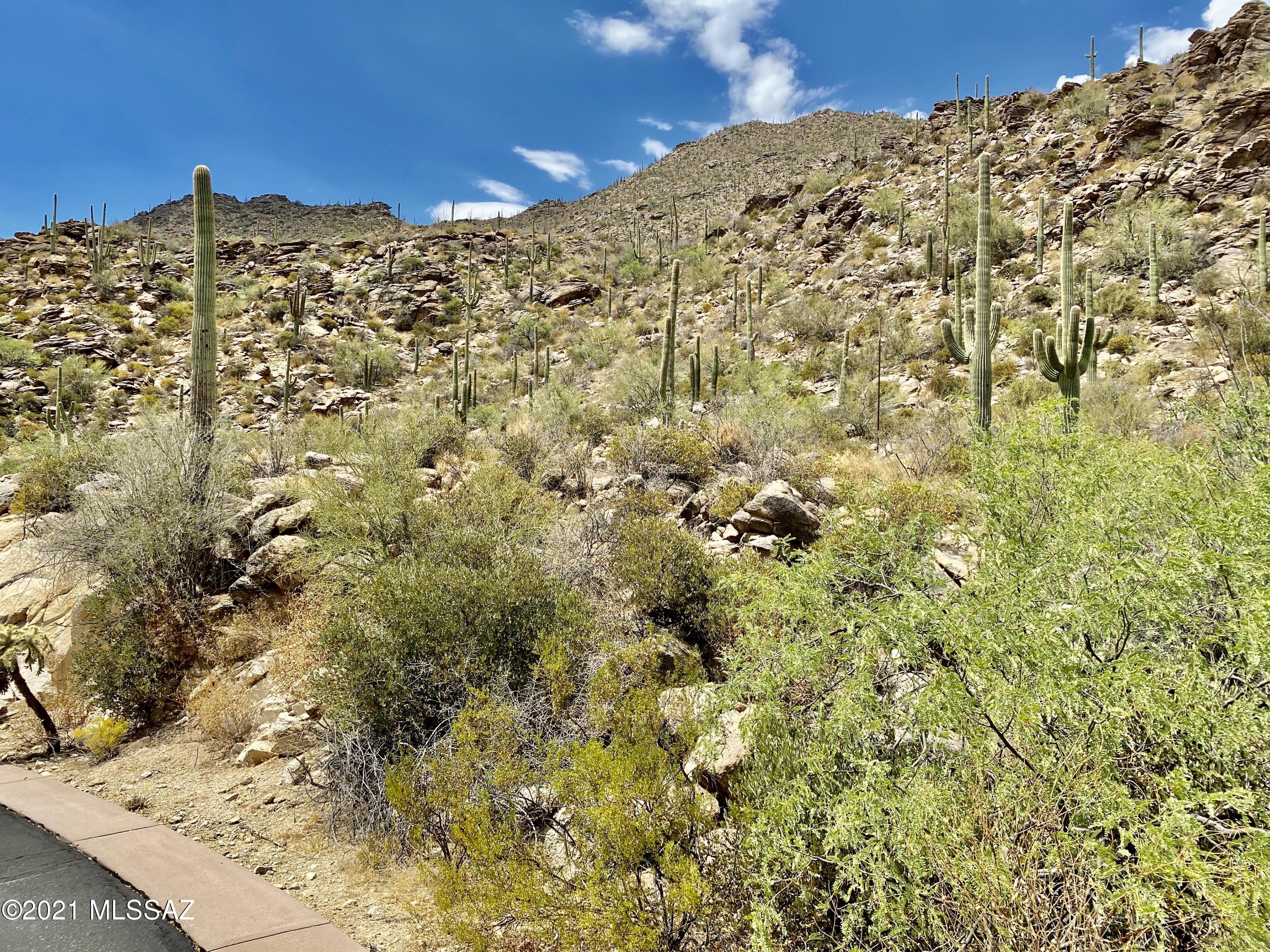 4738 W Canyon Mountain Drive Unit: 56