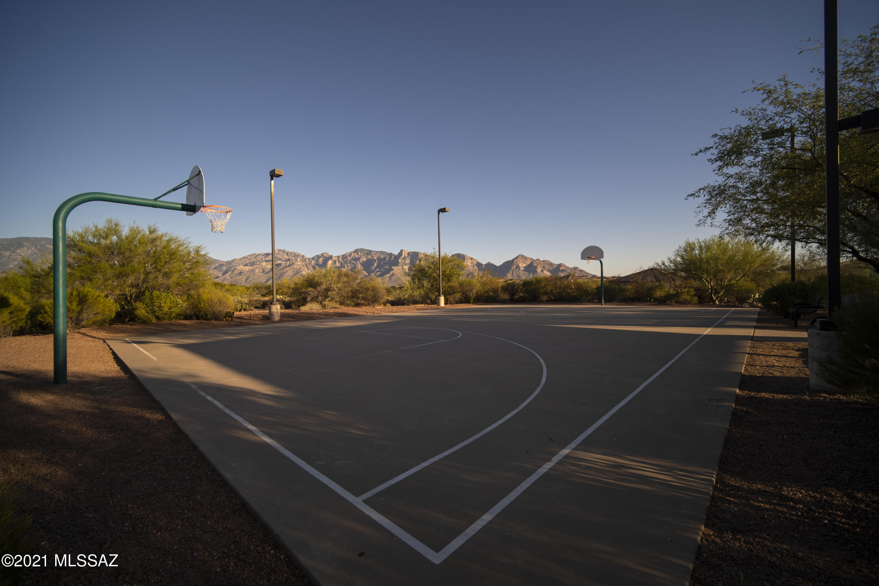 13197 N Deergrass Drive