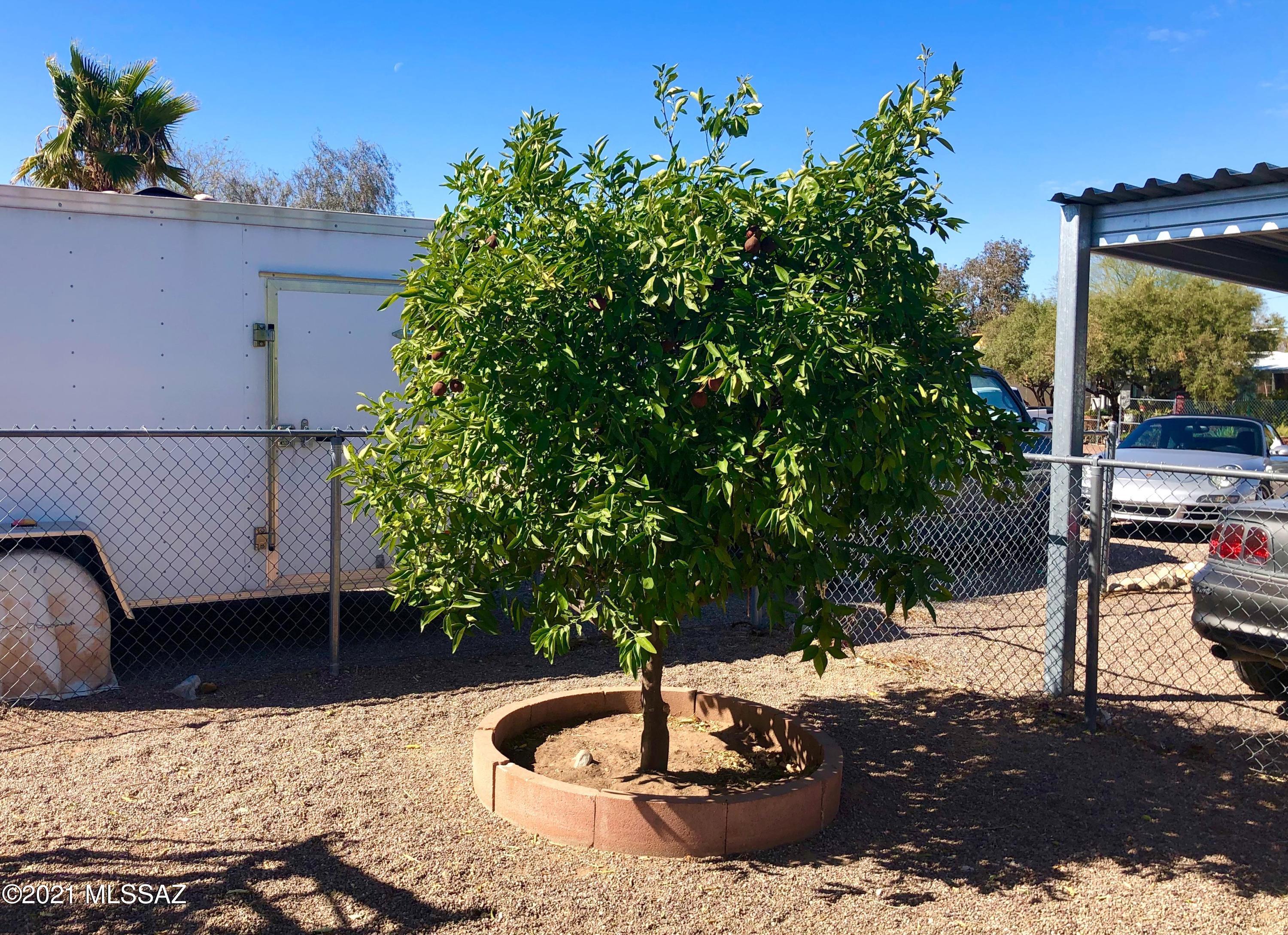 4122 N Palm Grove Drive