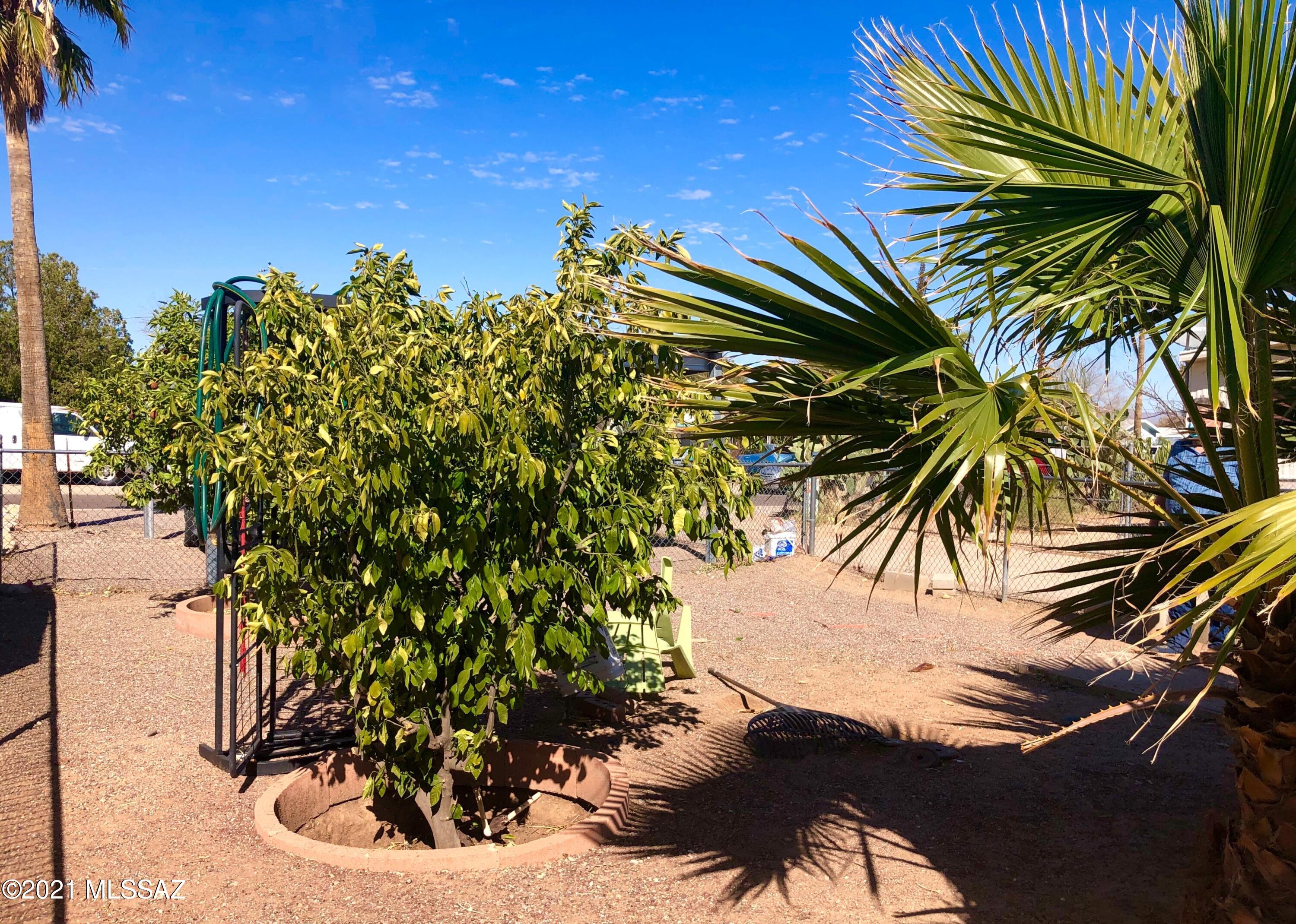 4122 N Palm Grove Drive