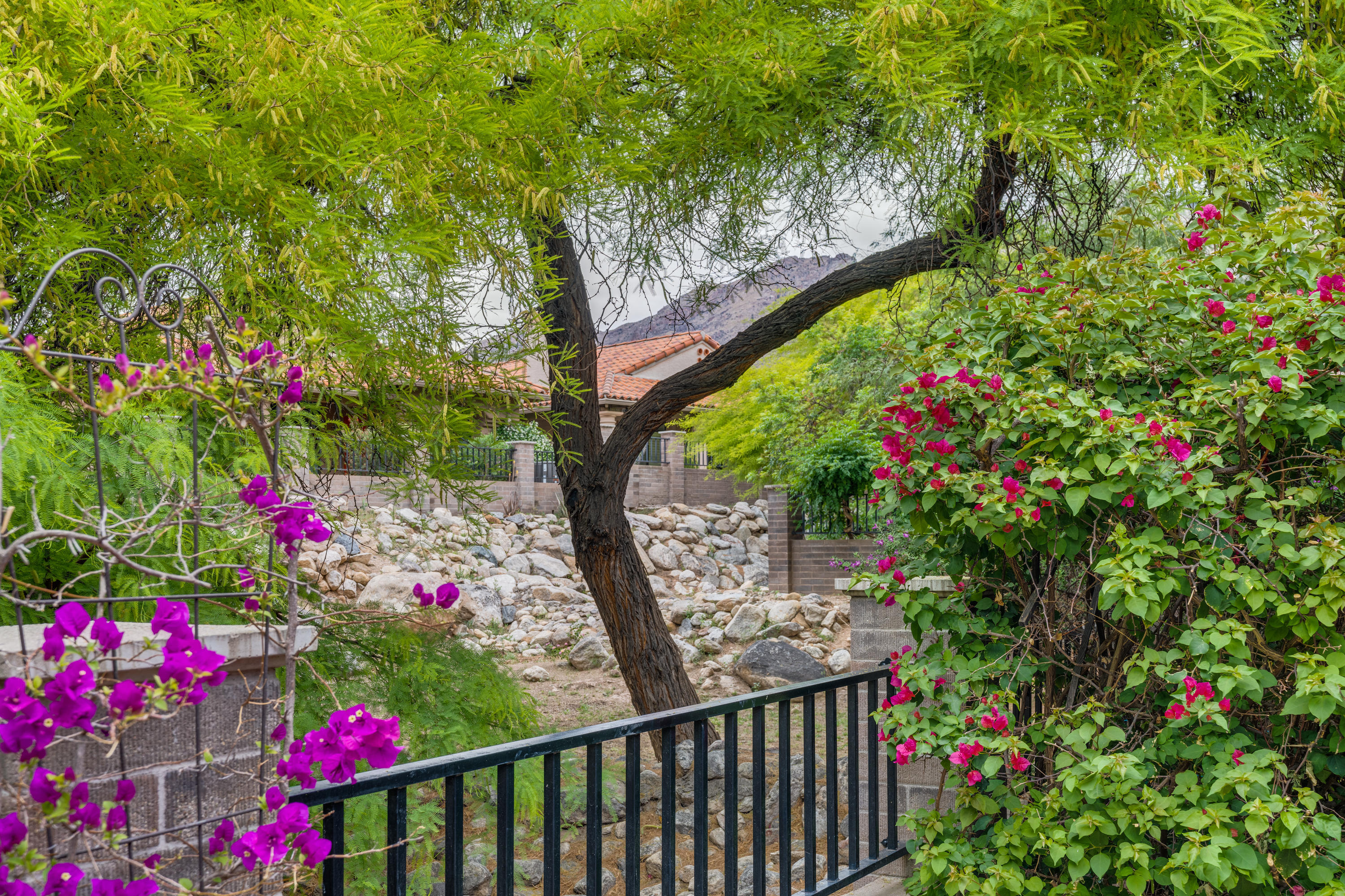 6358 E Placita Divina