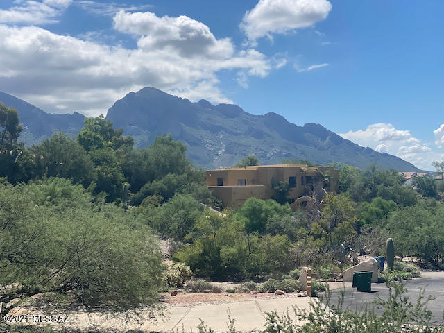 11050 N Poinsettia Drive