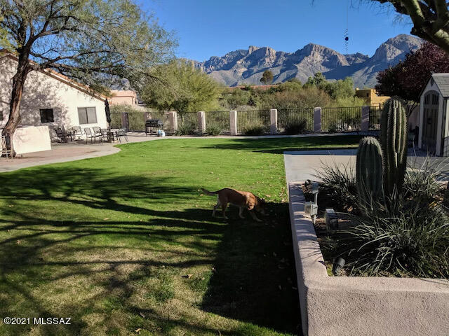 11050 N Poinsettia Drive