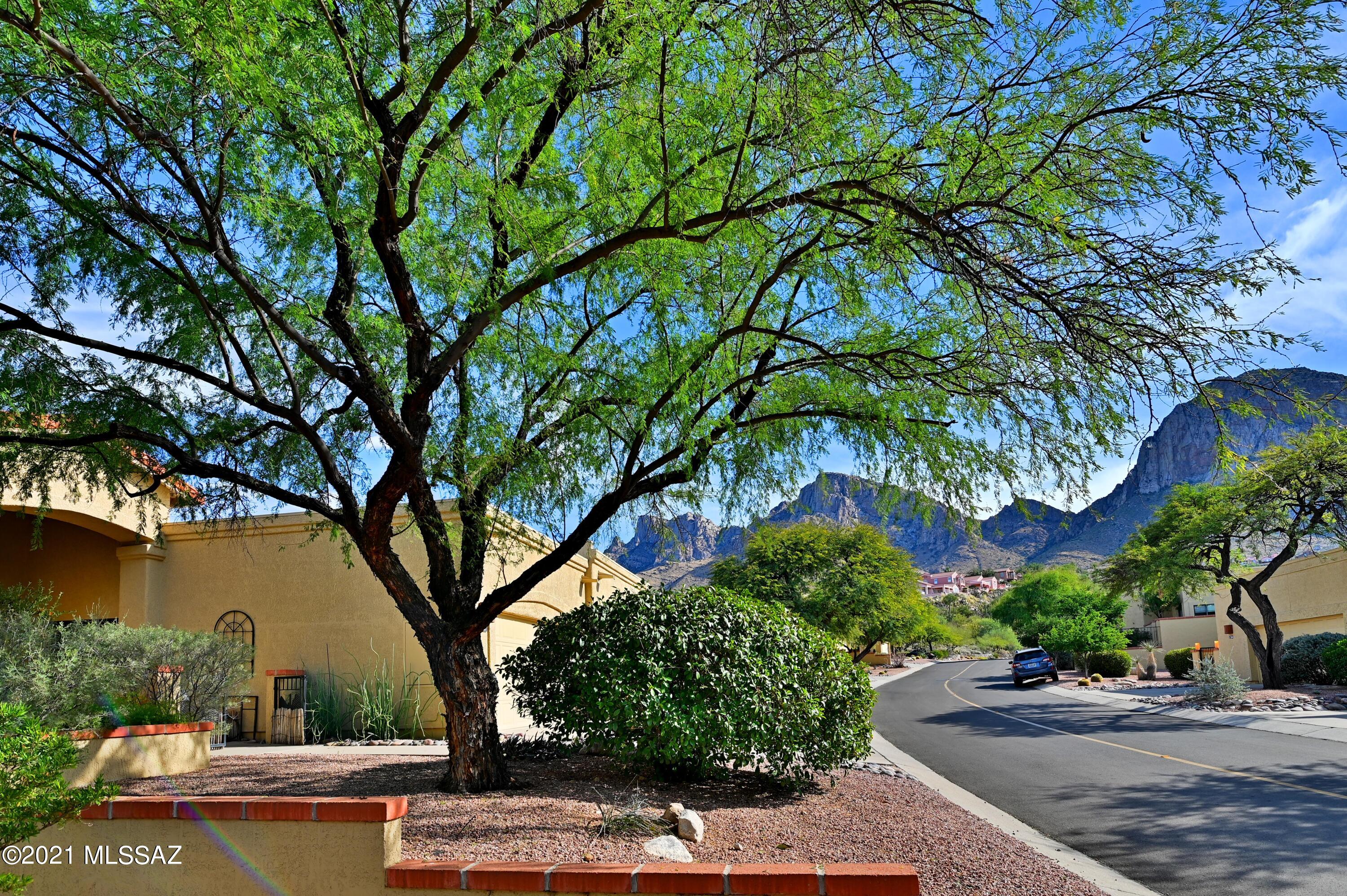 1201 E Camino Diestro