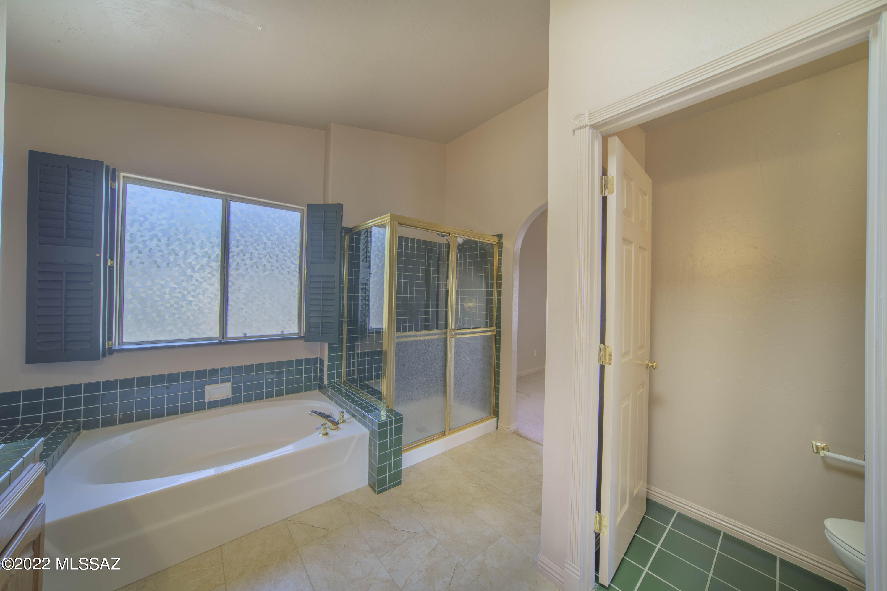 3370 W Canyon Flower Trail