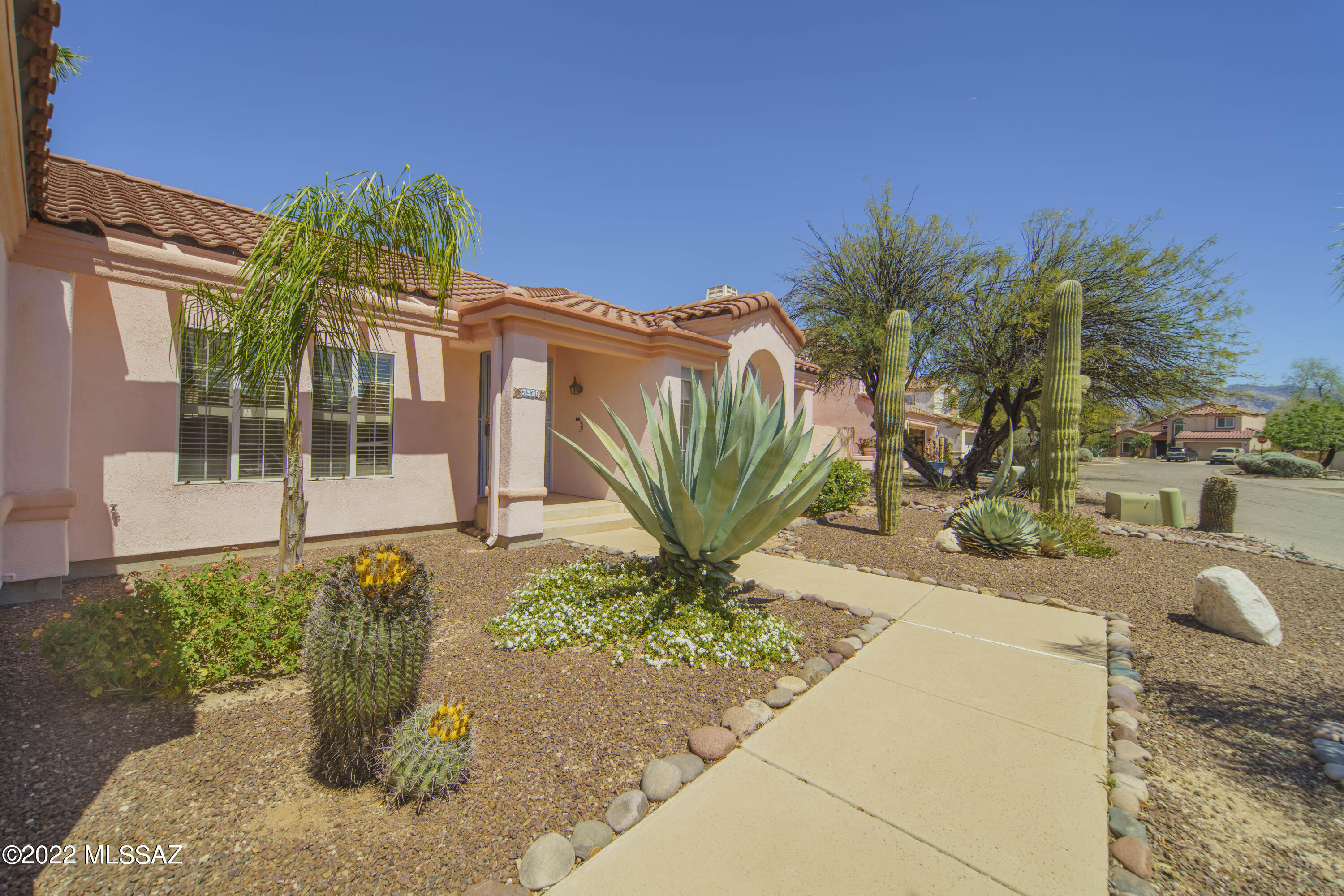 3370 W Canyon Flower Trail