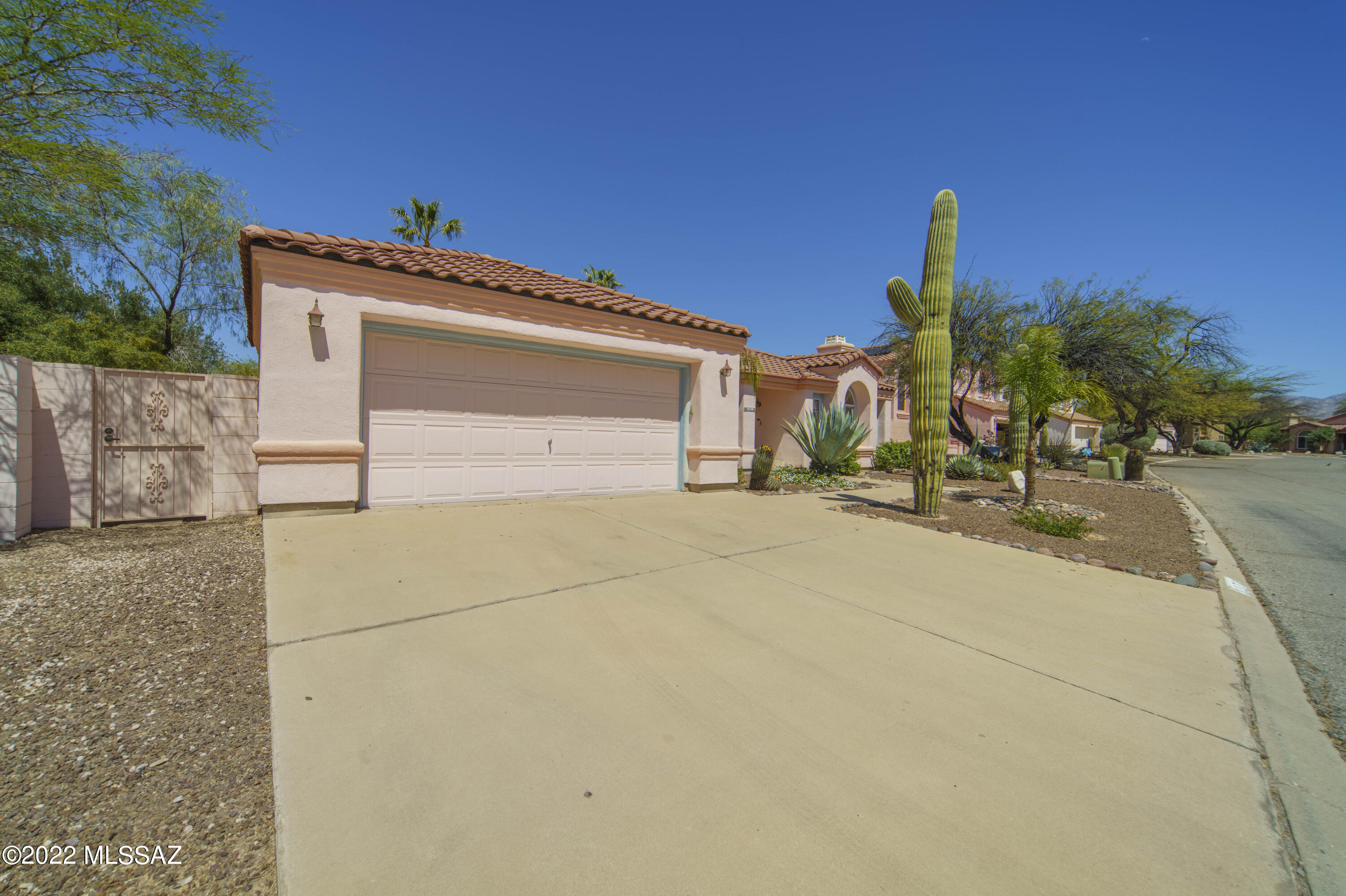 3370 W Canyon Flower Trail