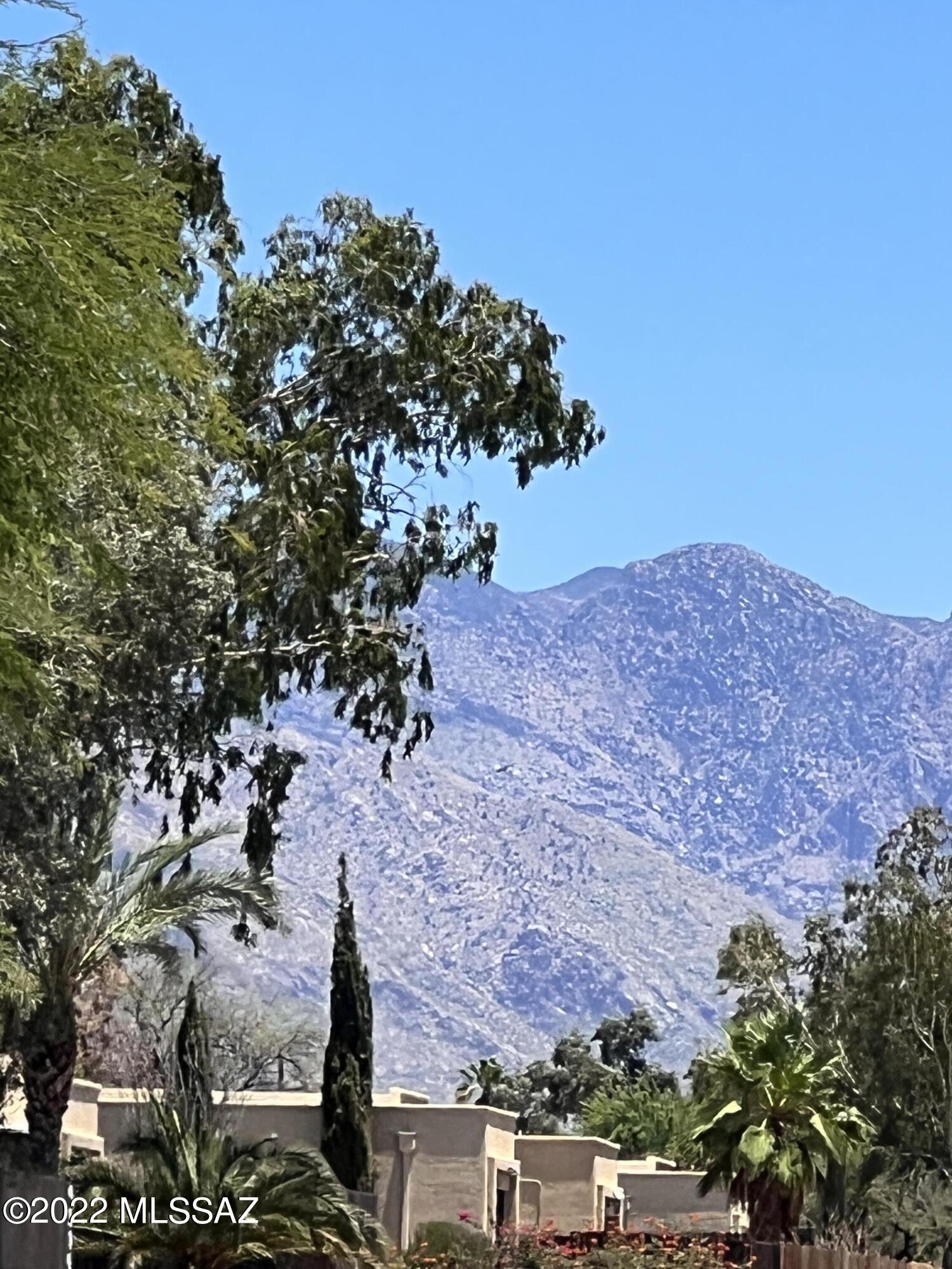 4309 W Pyracantha Drive