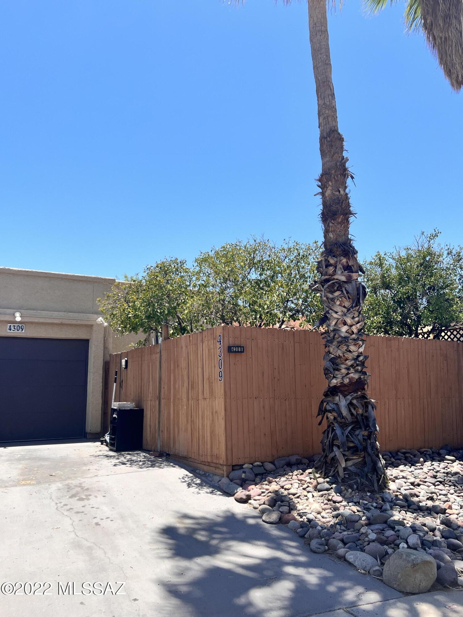 4309 W Pyracantha Drive