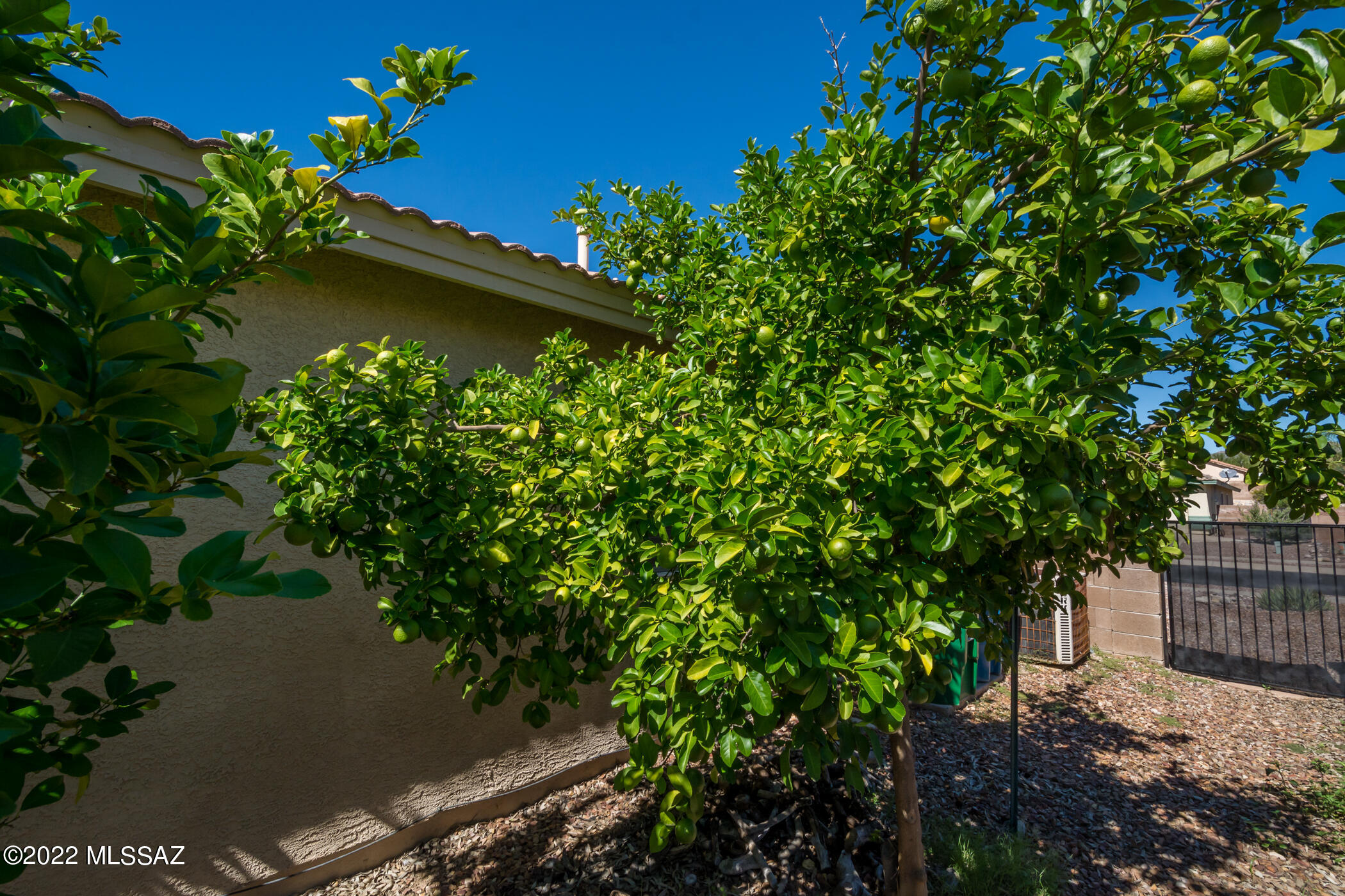 5523 W Guild Springs Street