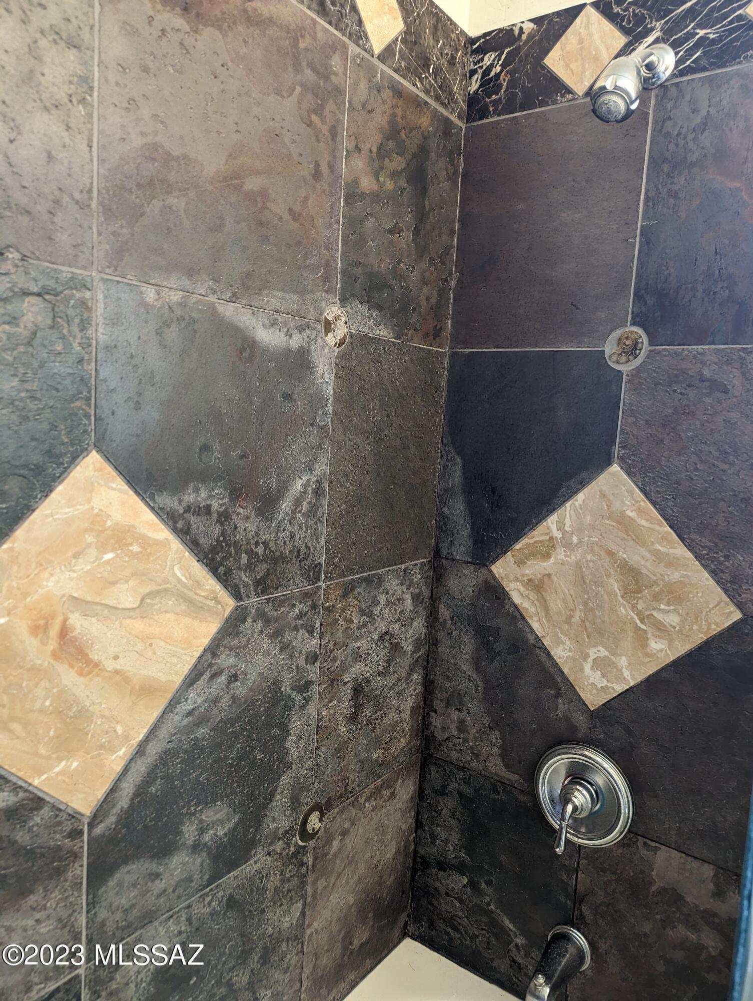 7424 N La Canada Drive