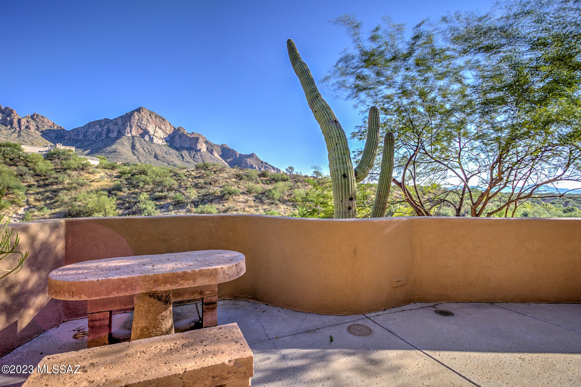 1636 E Buck Hollow Court