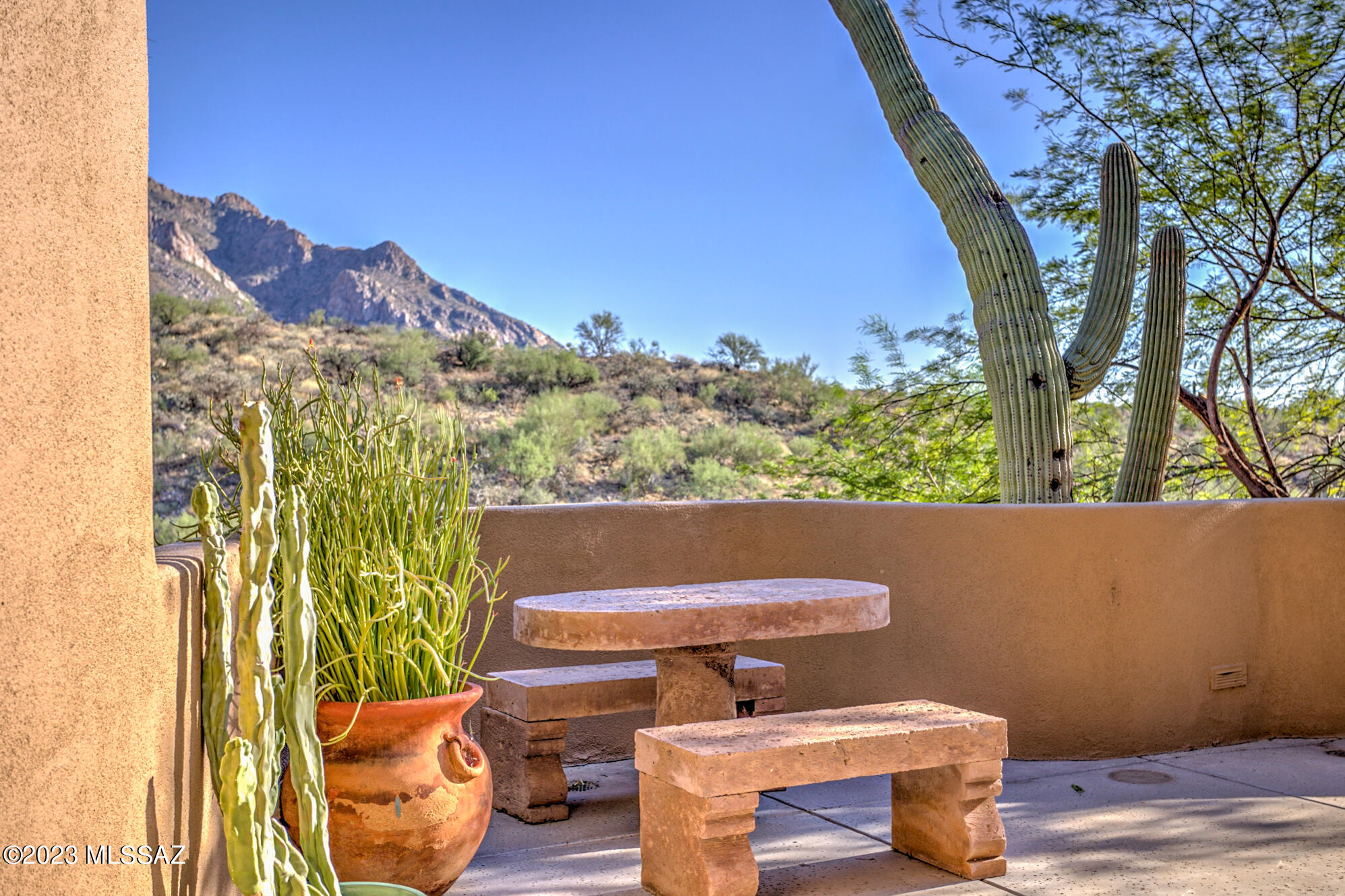 1636 E Buck Hollow Court