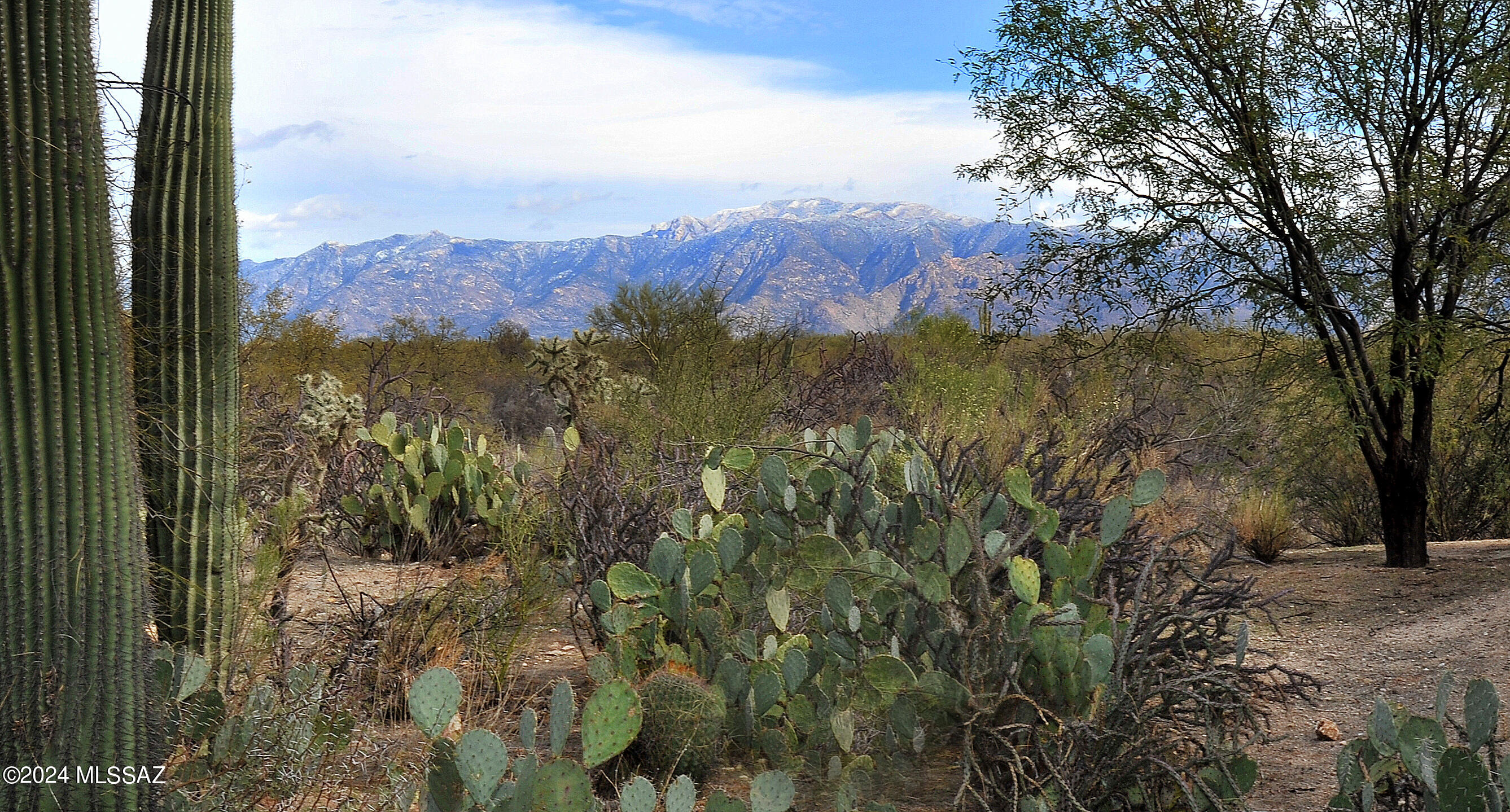 3380 W Wing Tip Drive