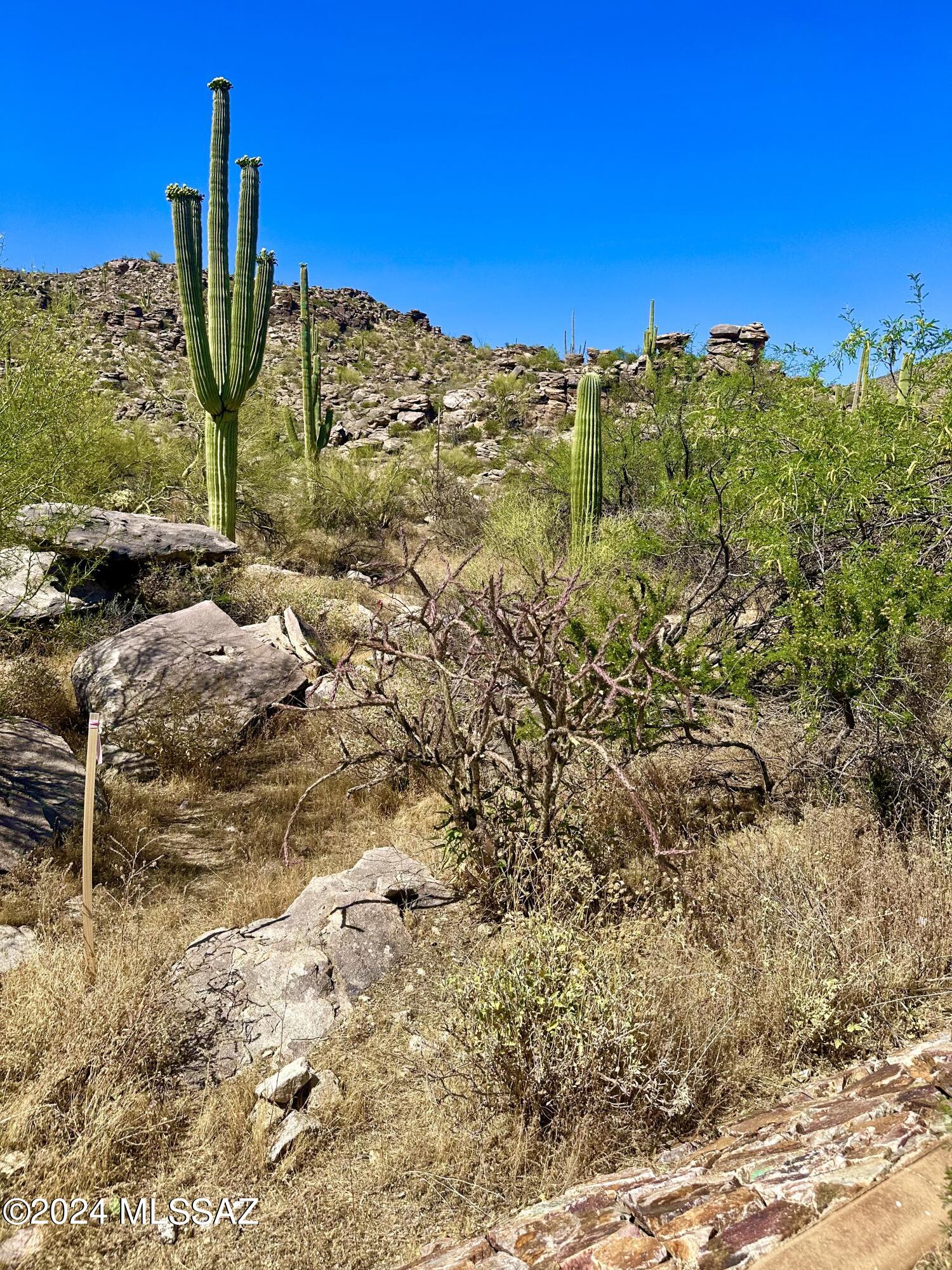 4560 W Horizon Ridge Drive