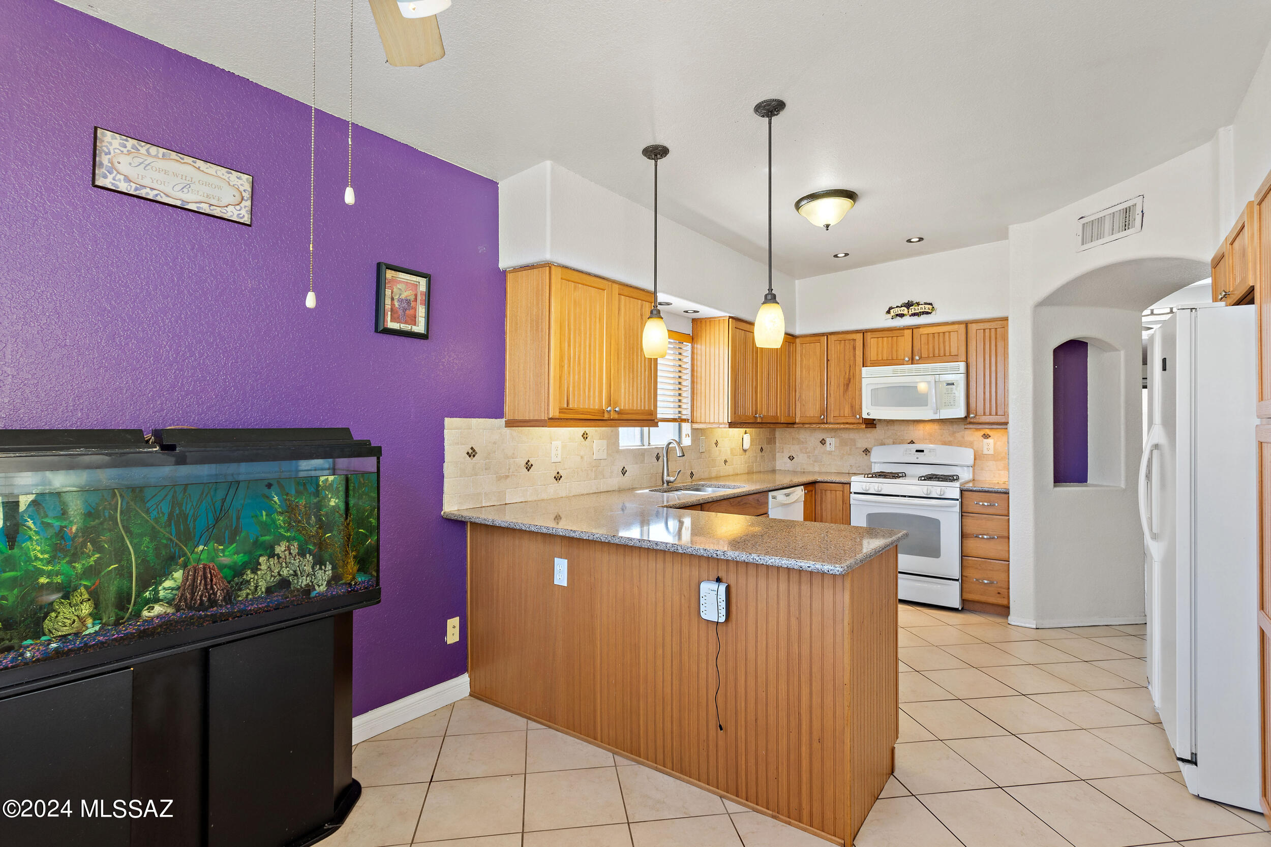 2631 W Camino De La Caterva