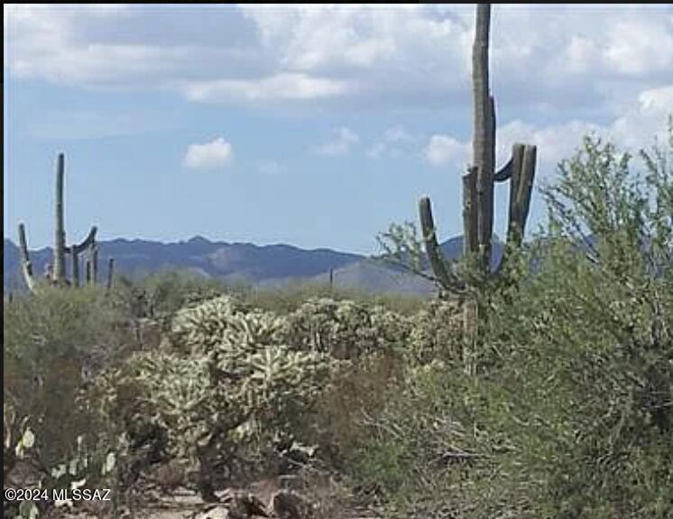 5534 W Oasis Road Unit: 0