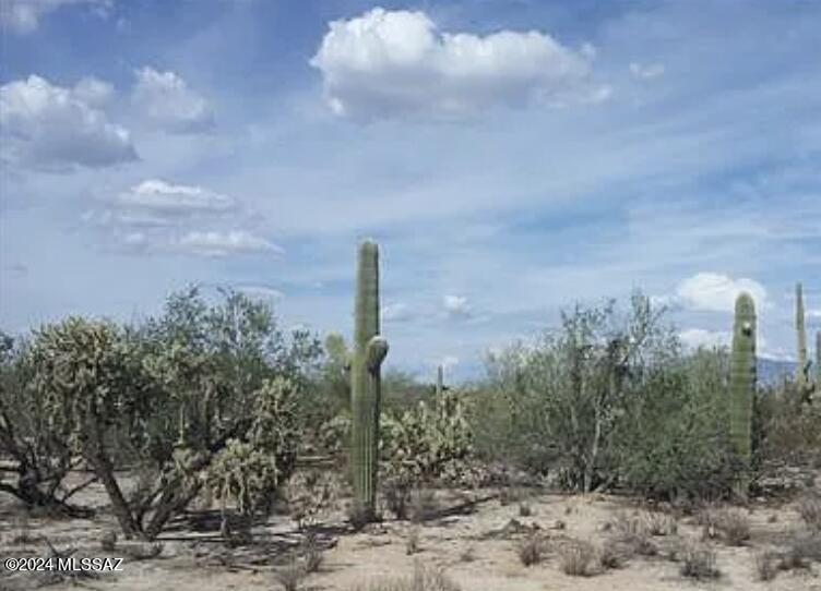 5534 W Oasis Road Unit: 0