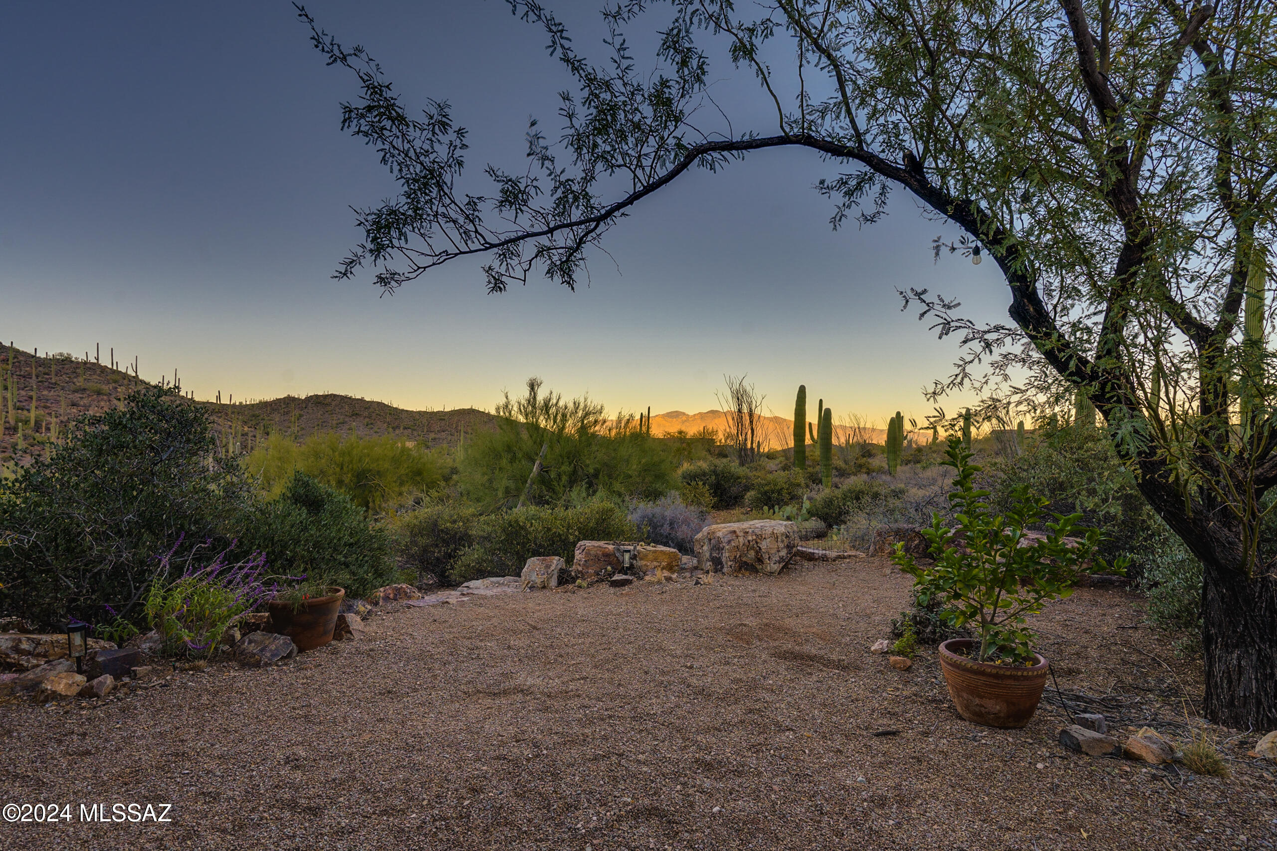 6510 W Banded Gecko Way